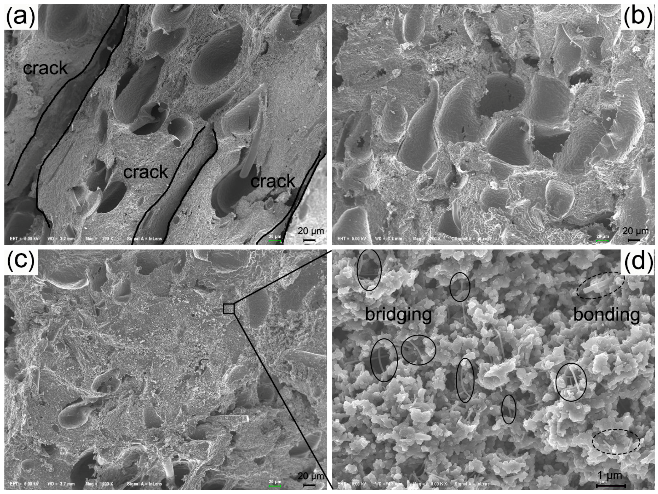 Materials 09 00723 g009 1024