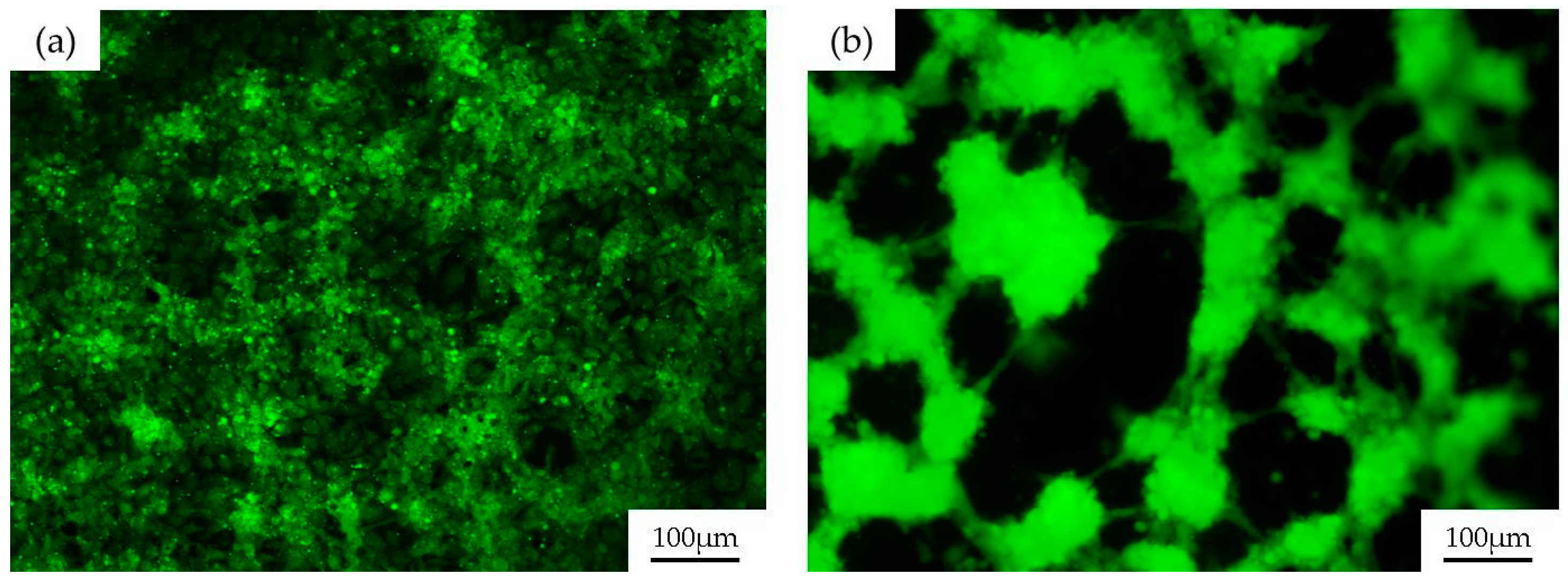 Materials 09 00728 g003