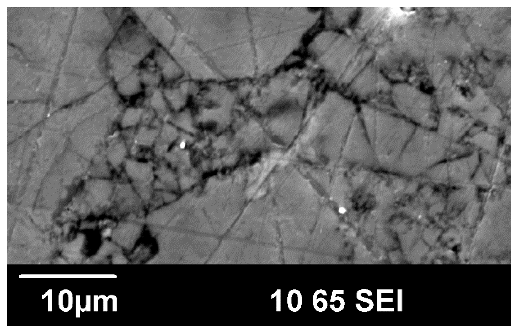 Materials 09 00732 g003 1024