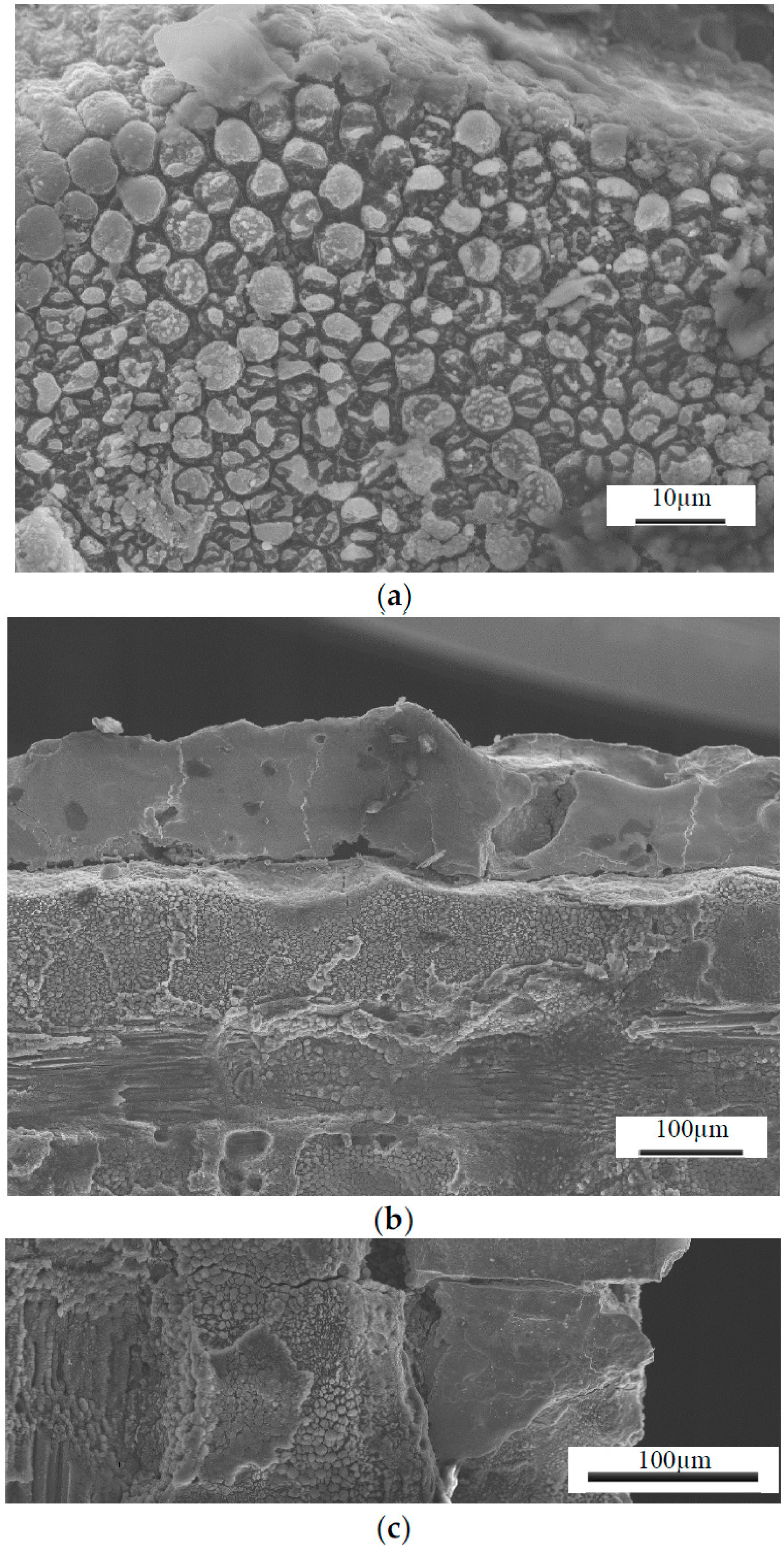 Materials 09 00746 g010