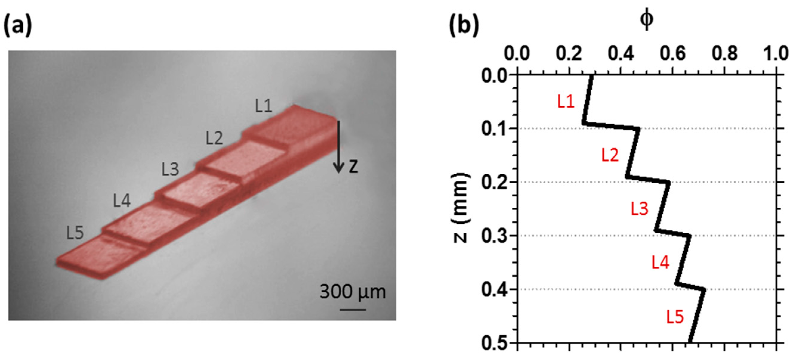 Materials 09 00760 g007 1024