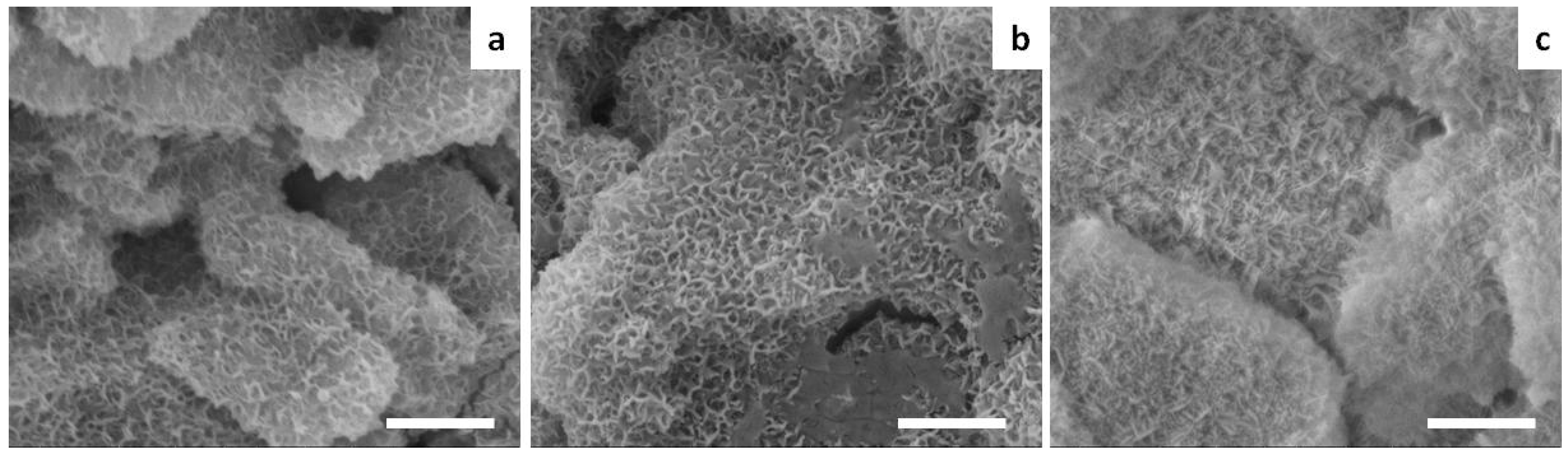 Materials 09 00763 g005