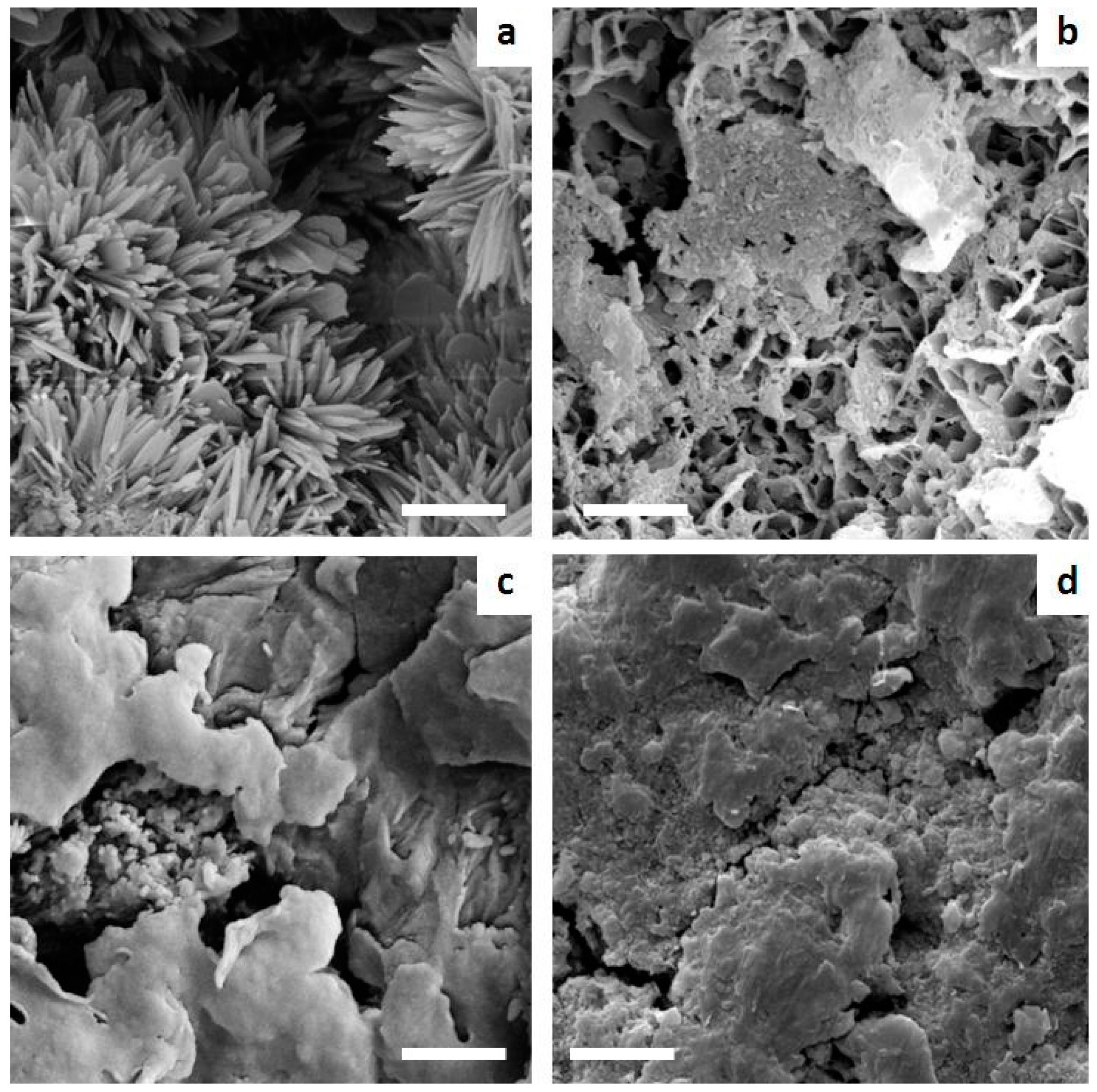 Materials 09 00763 g012