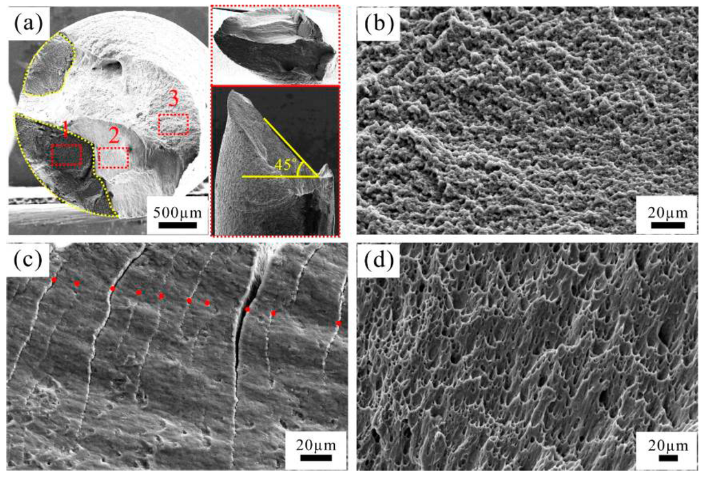 Materials Special Issue Fracture and Fatigue Mechanics of Materials