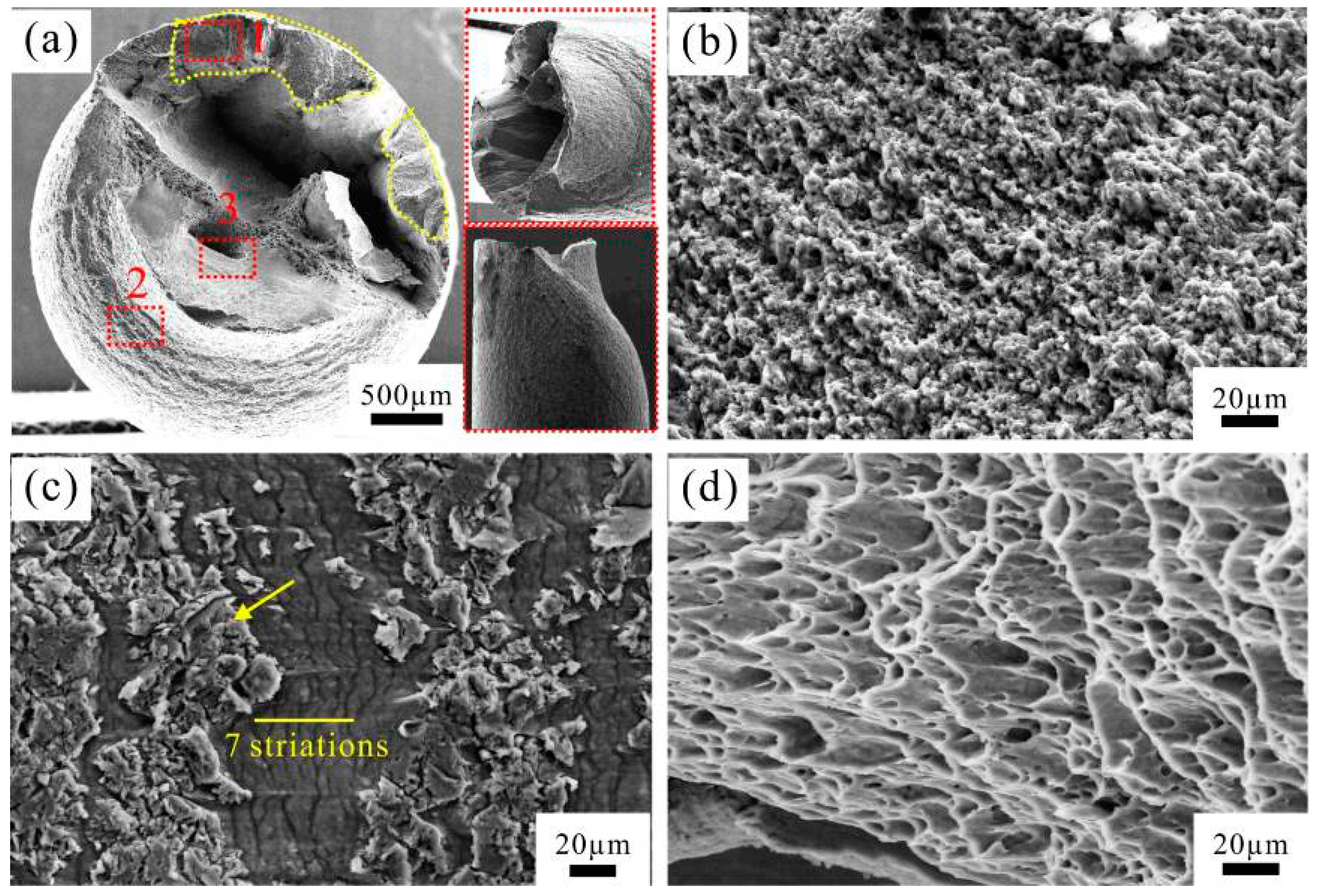 Materials 09 00764 g007