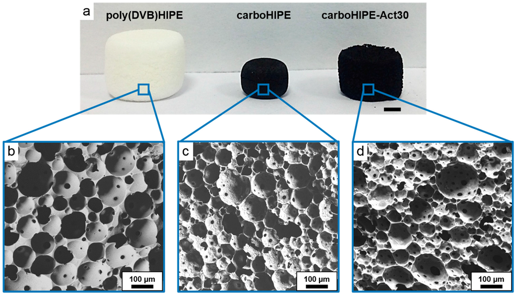 cnf pickering emulsion modeling cnf pickering emulsion modeling