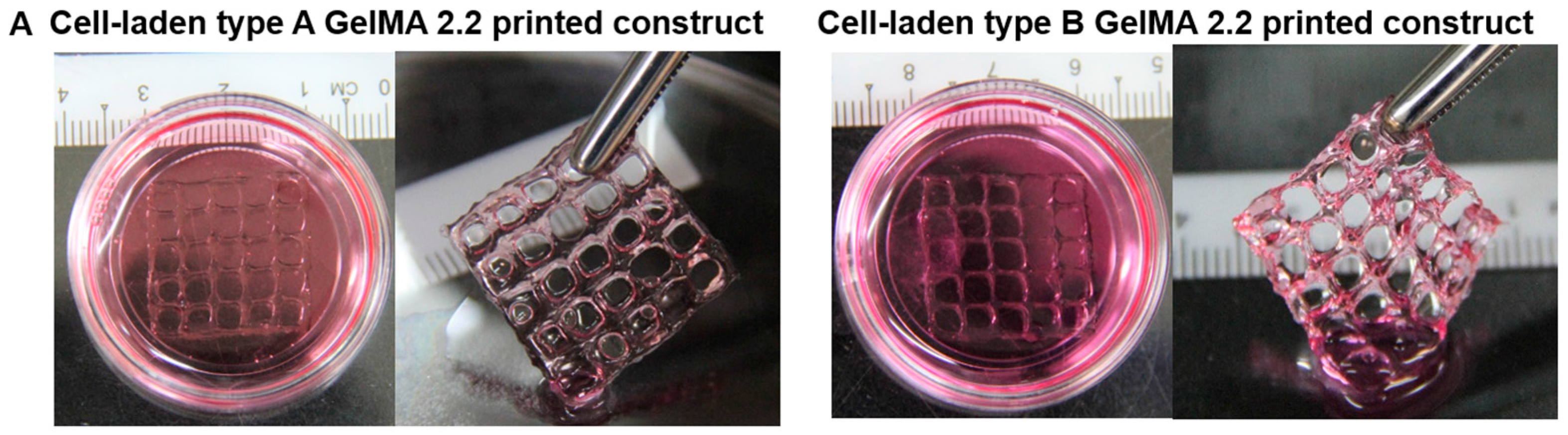 Materials 09 00797 g009a 550