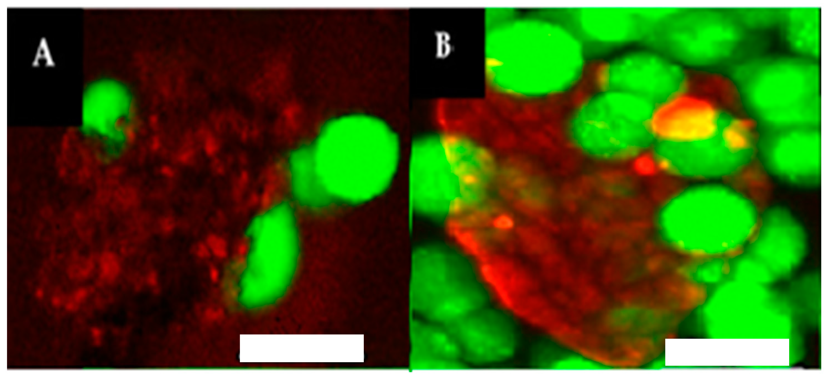 Materials 09 00838 g008