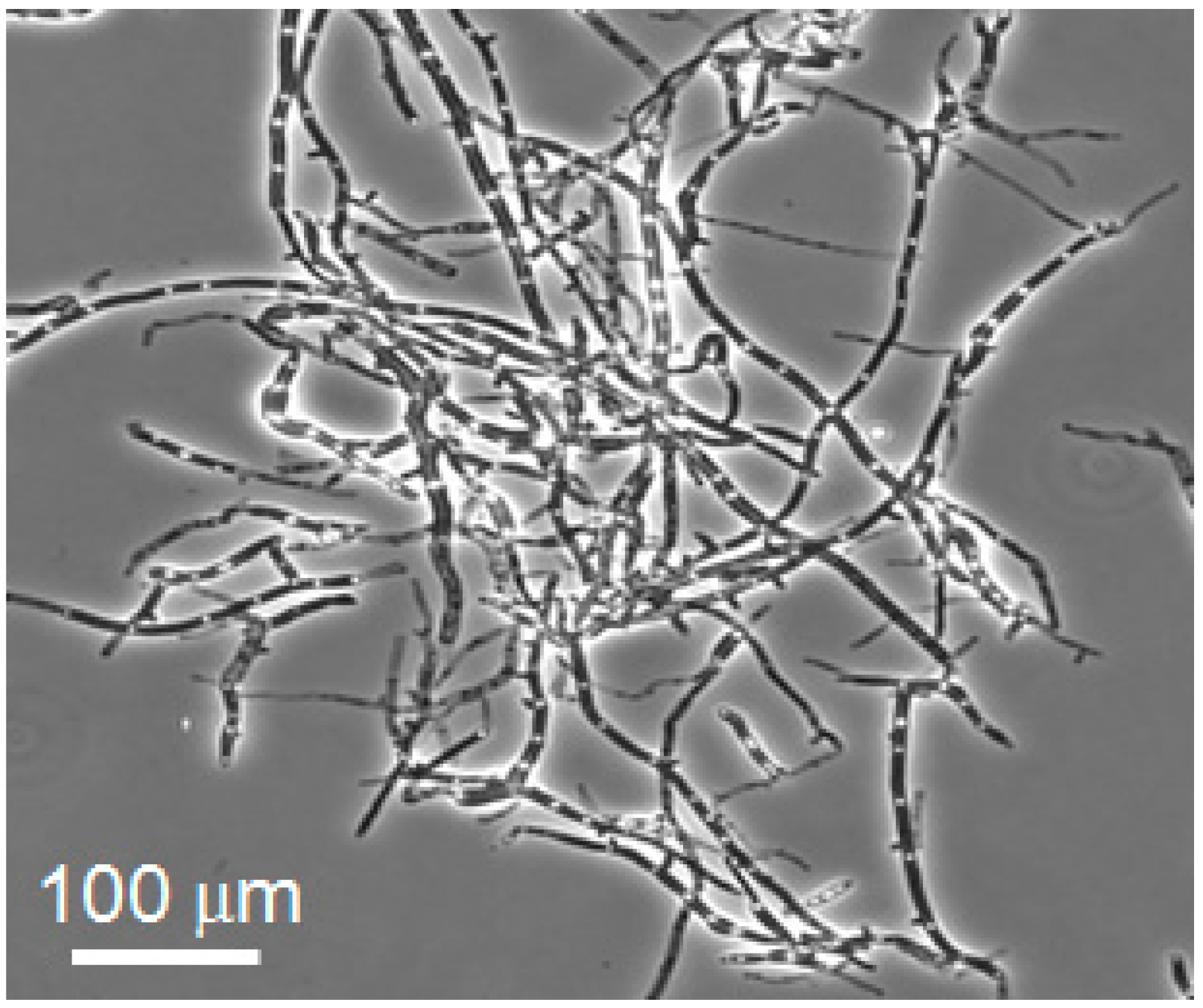 Materials 09 00855 g001 550