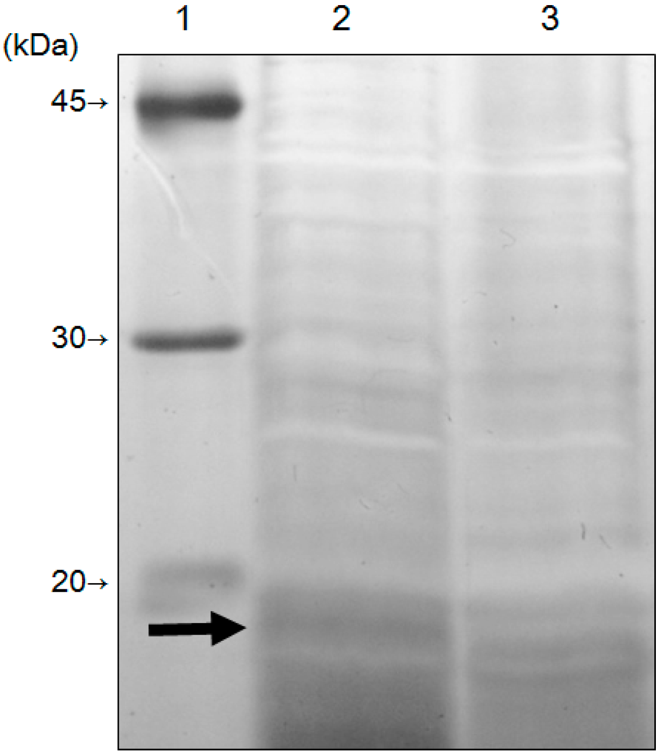 Materials 09 00855 g008 550