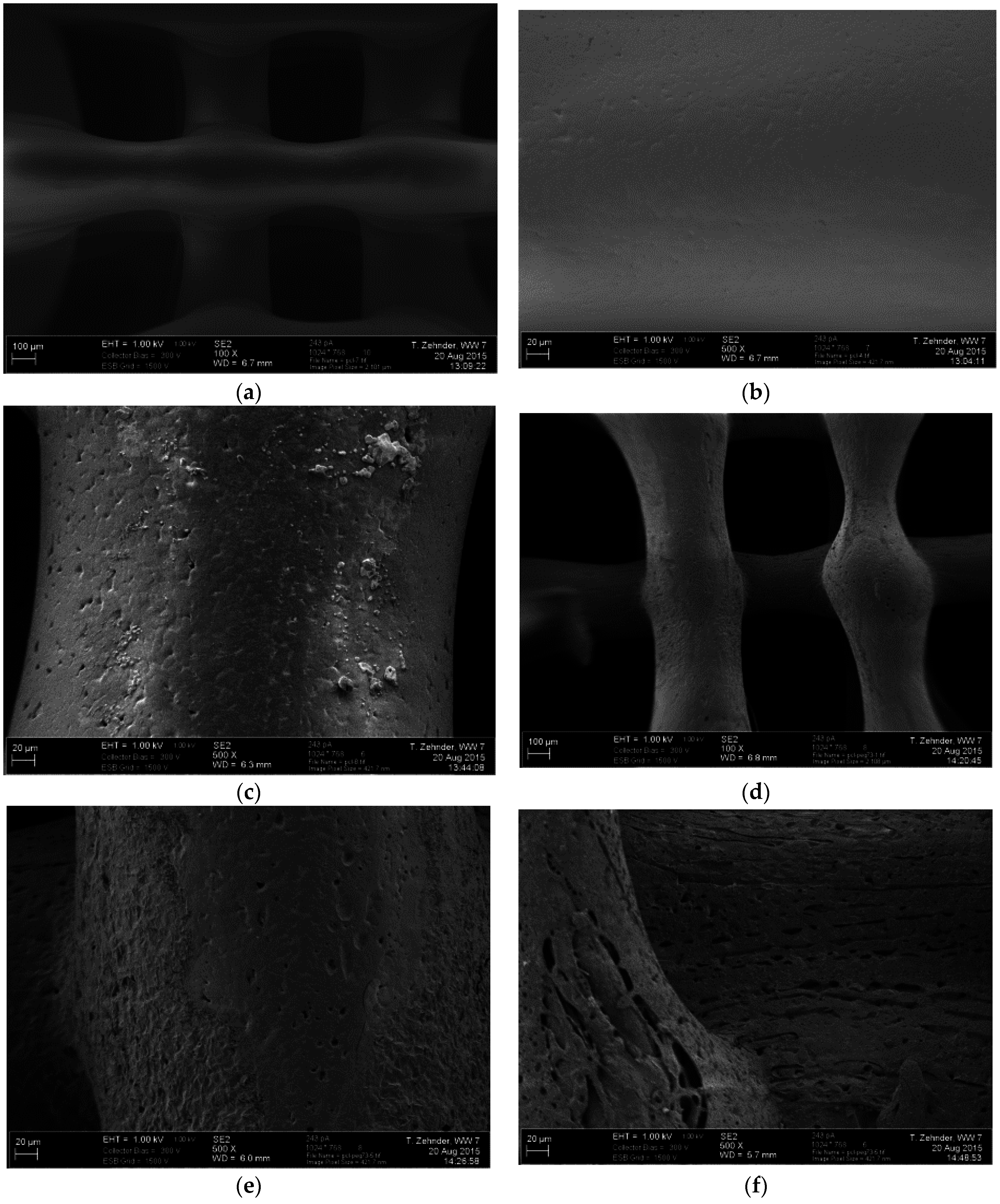 Materials 09 00887 g008