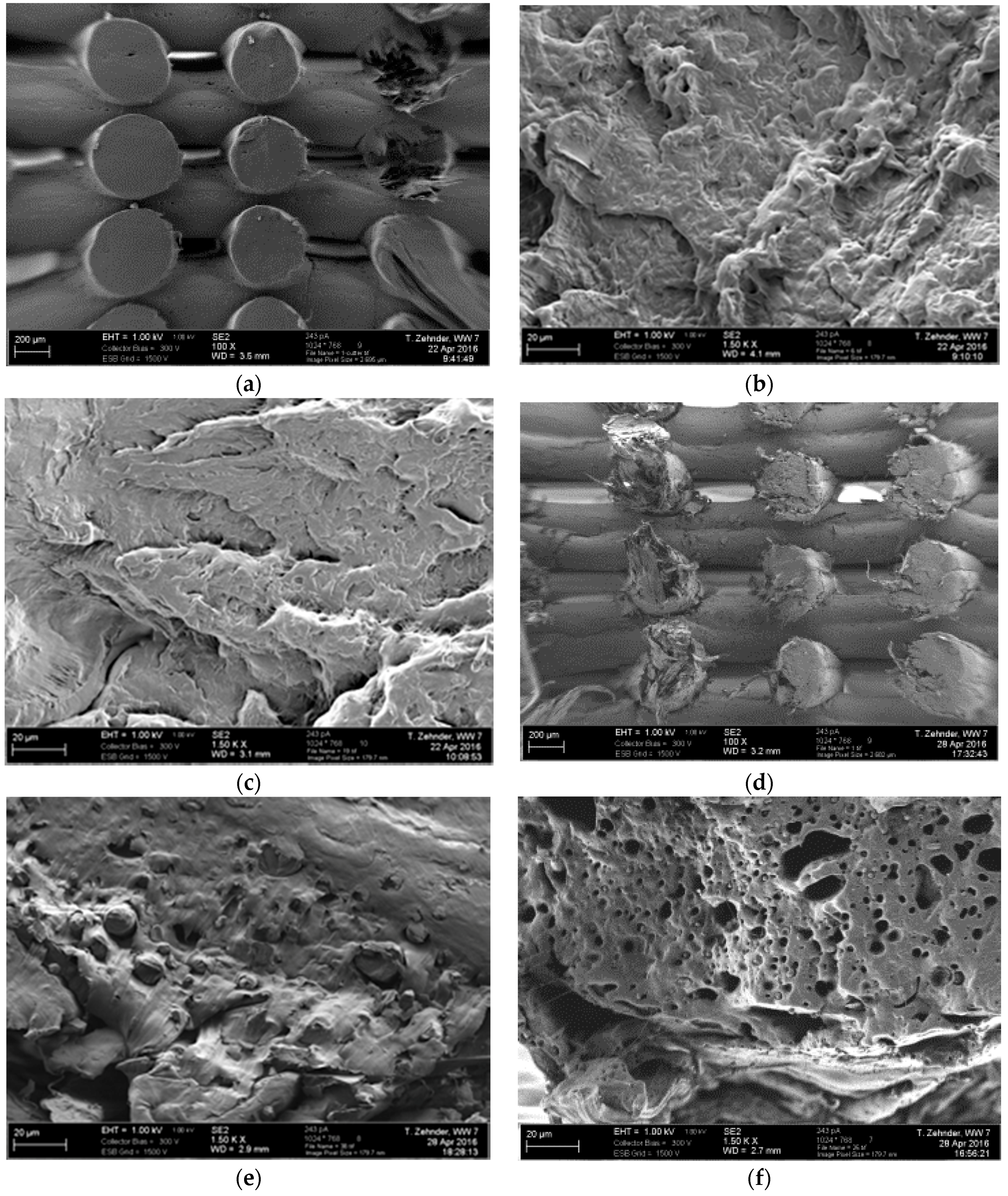 Materials 09 00887 g009