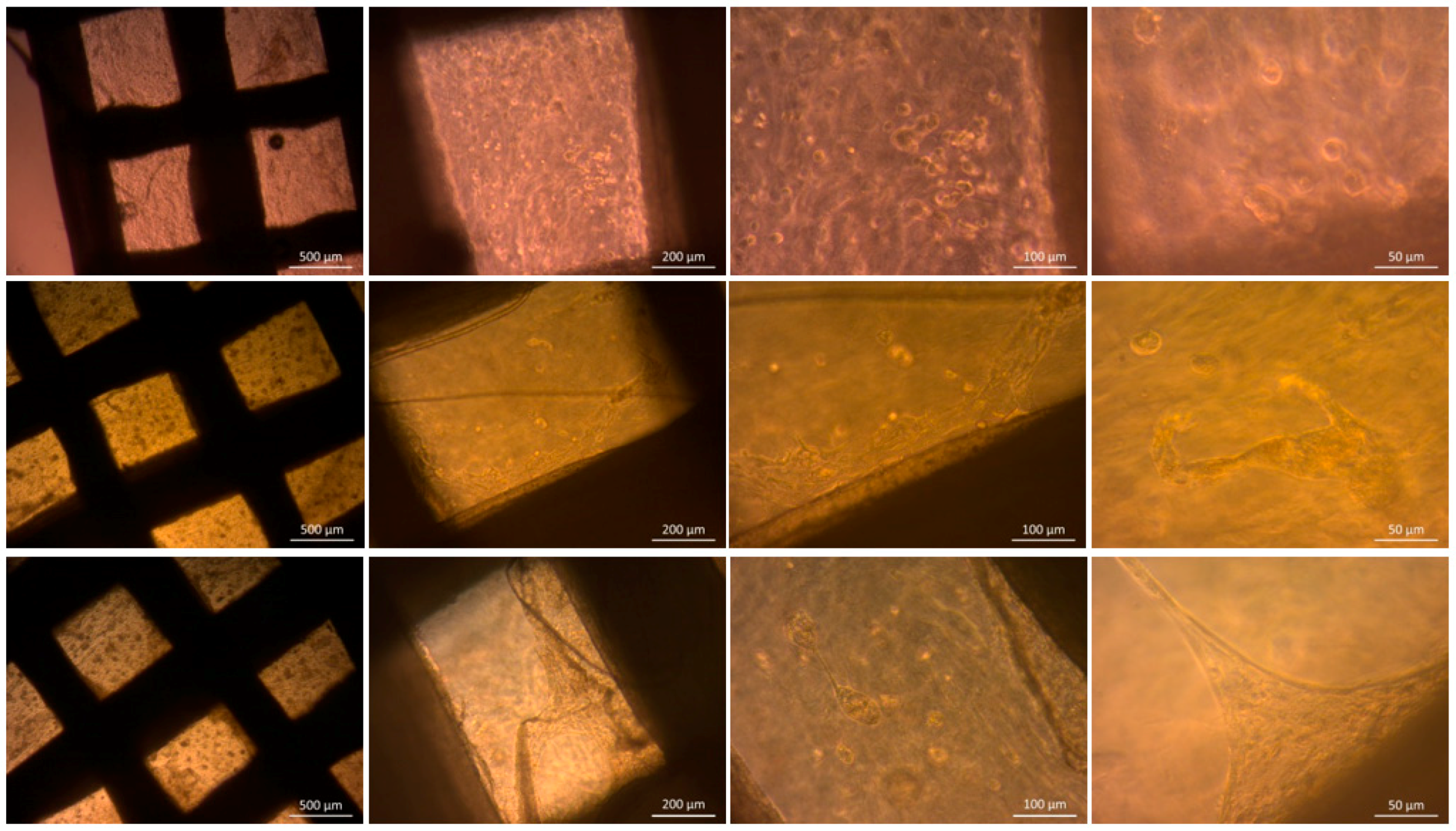 Materials 09 00887 g012