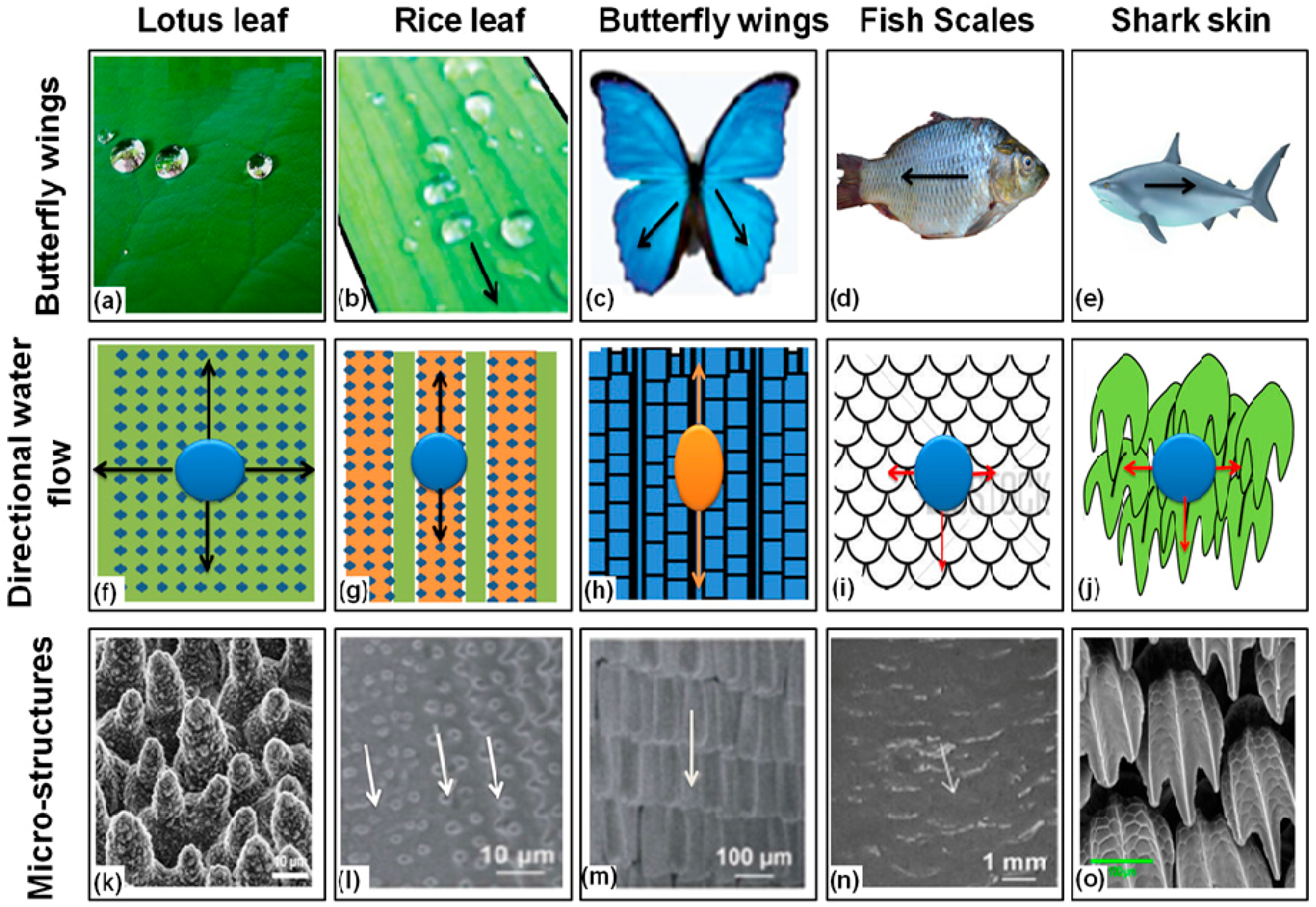 Materials | Free Full-Text | A Review on Development and ...