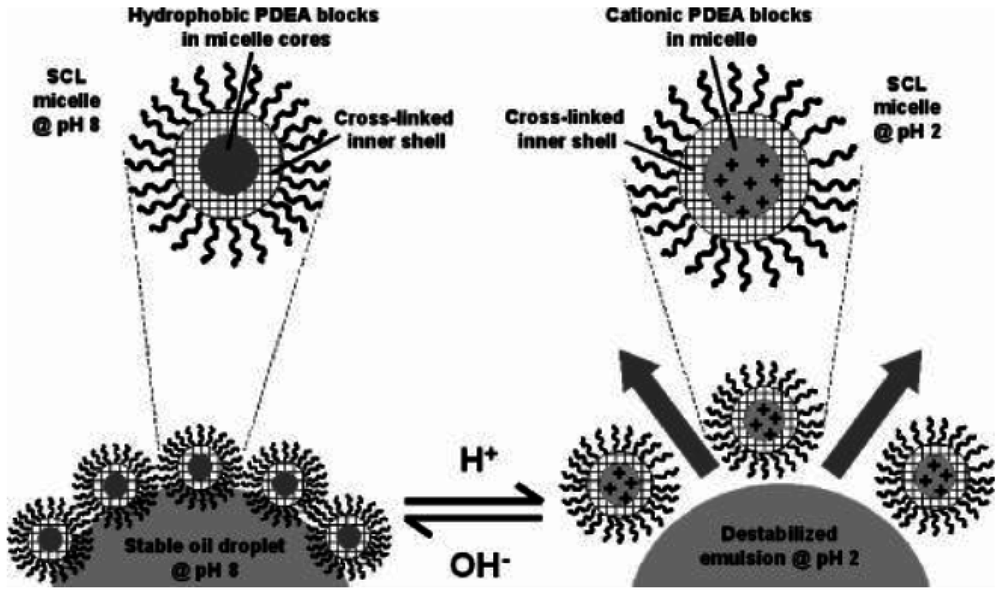 Materials 09 00903 g010 550