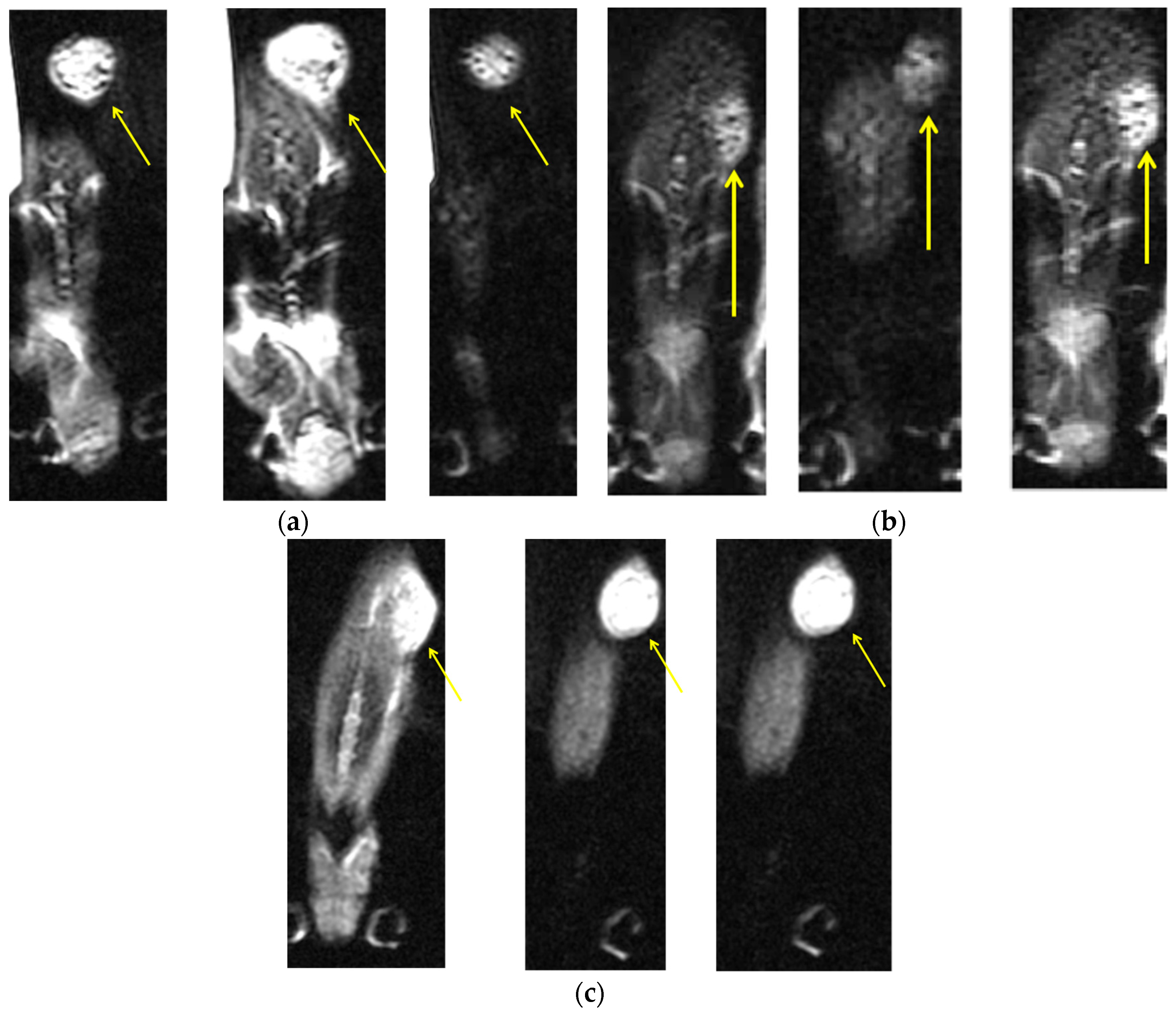 Materials 09 00943 g005