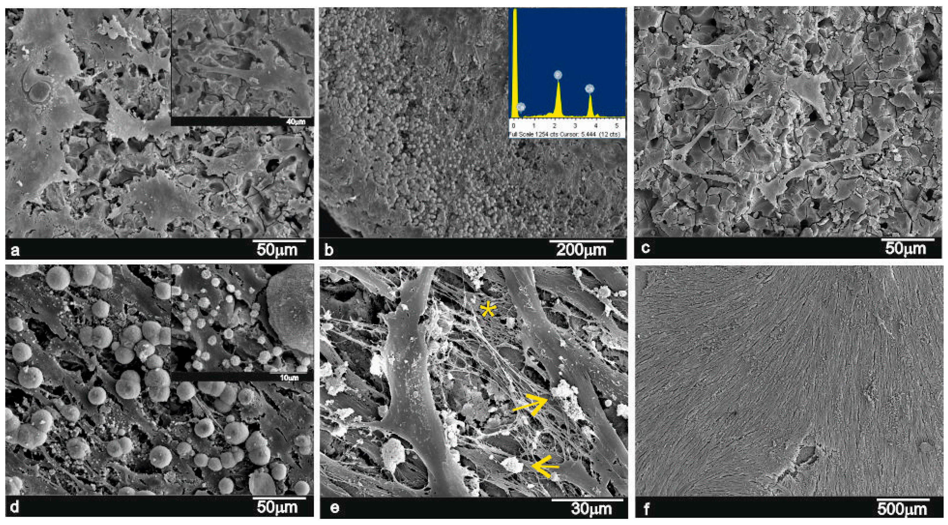 Materials 09 00969 g003