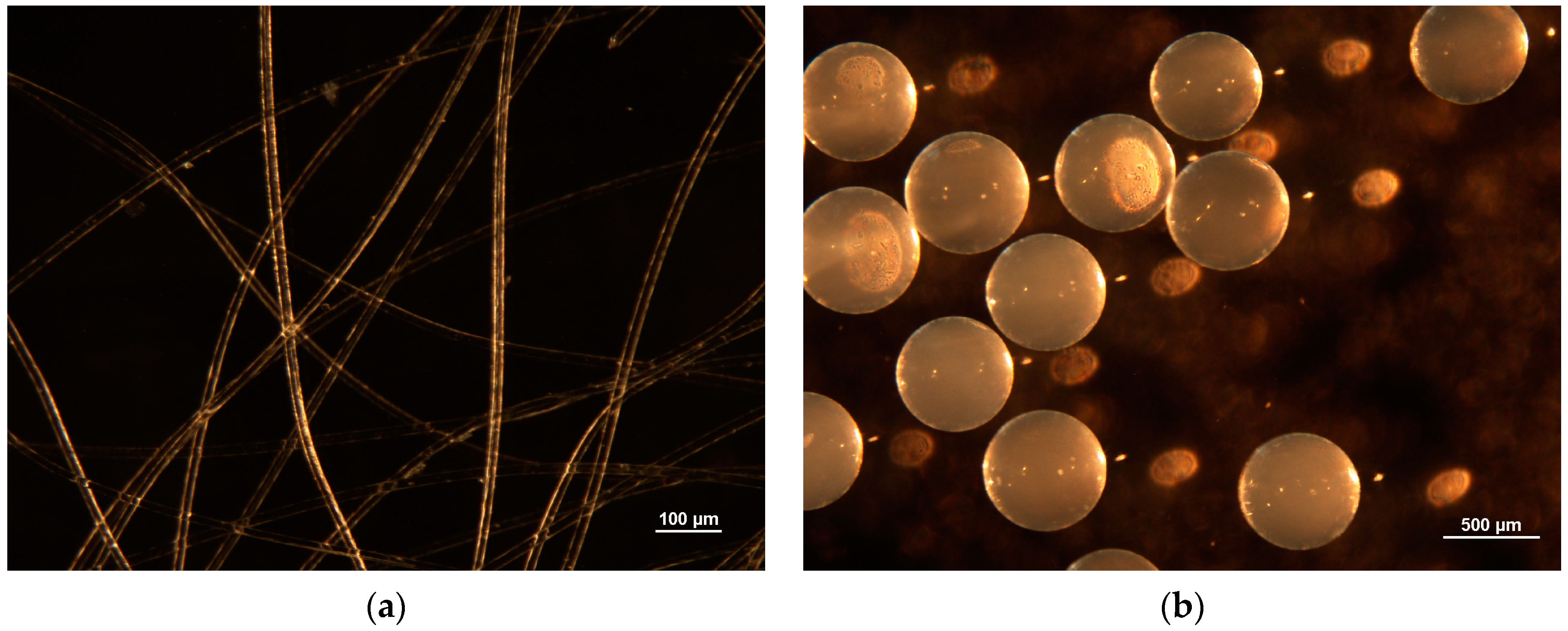 Materials 09 00988 g002