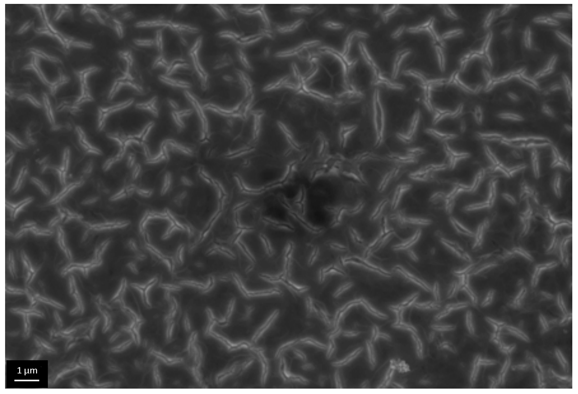 Materials 09 01010 g012
