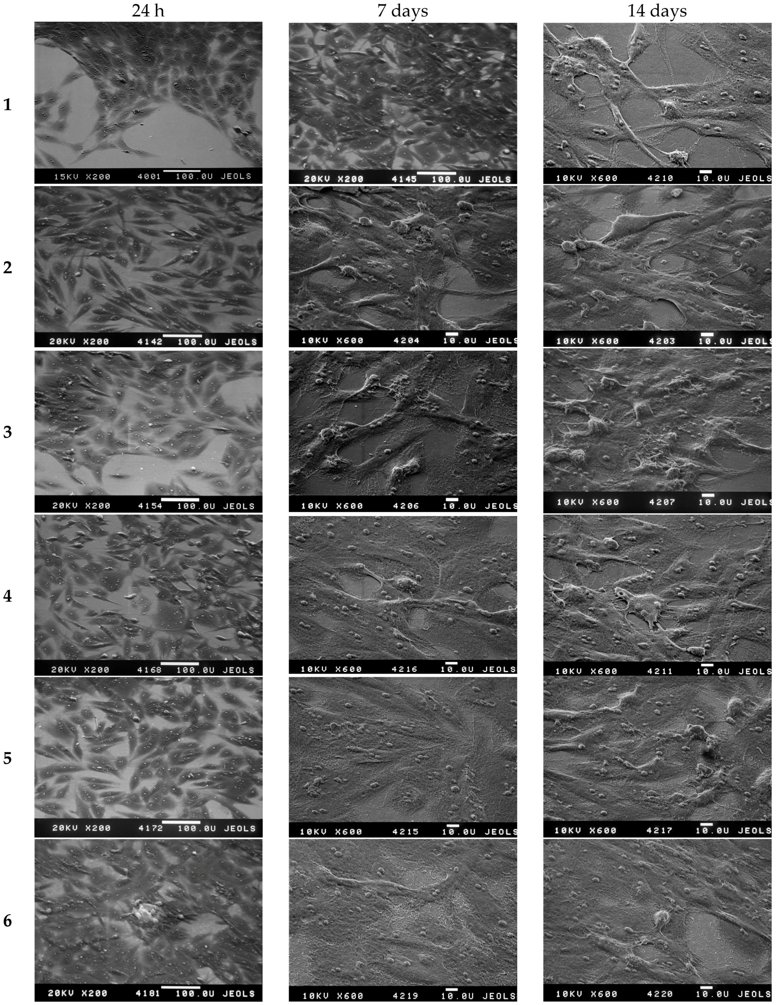 Materials 09 01010 g015