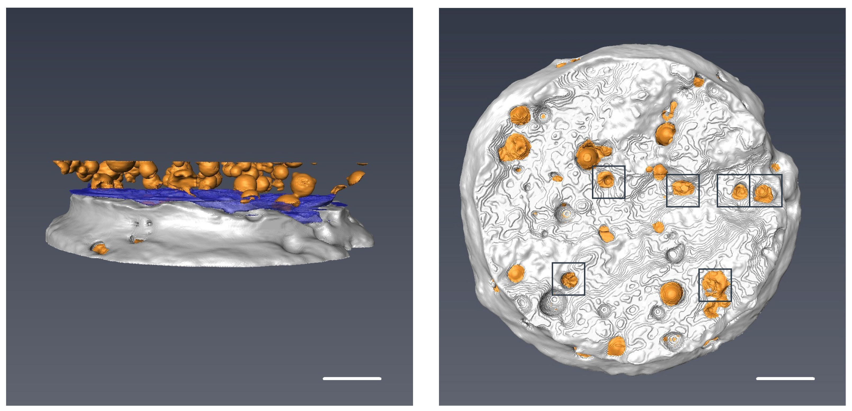 Materials 09 01025 g013 550