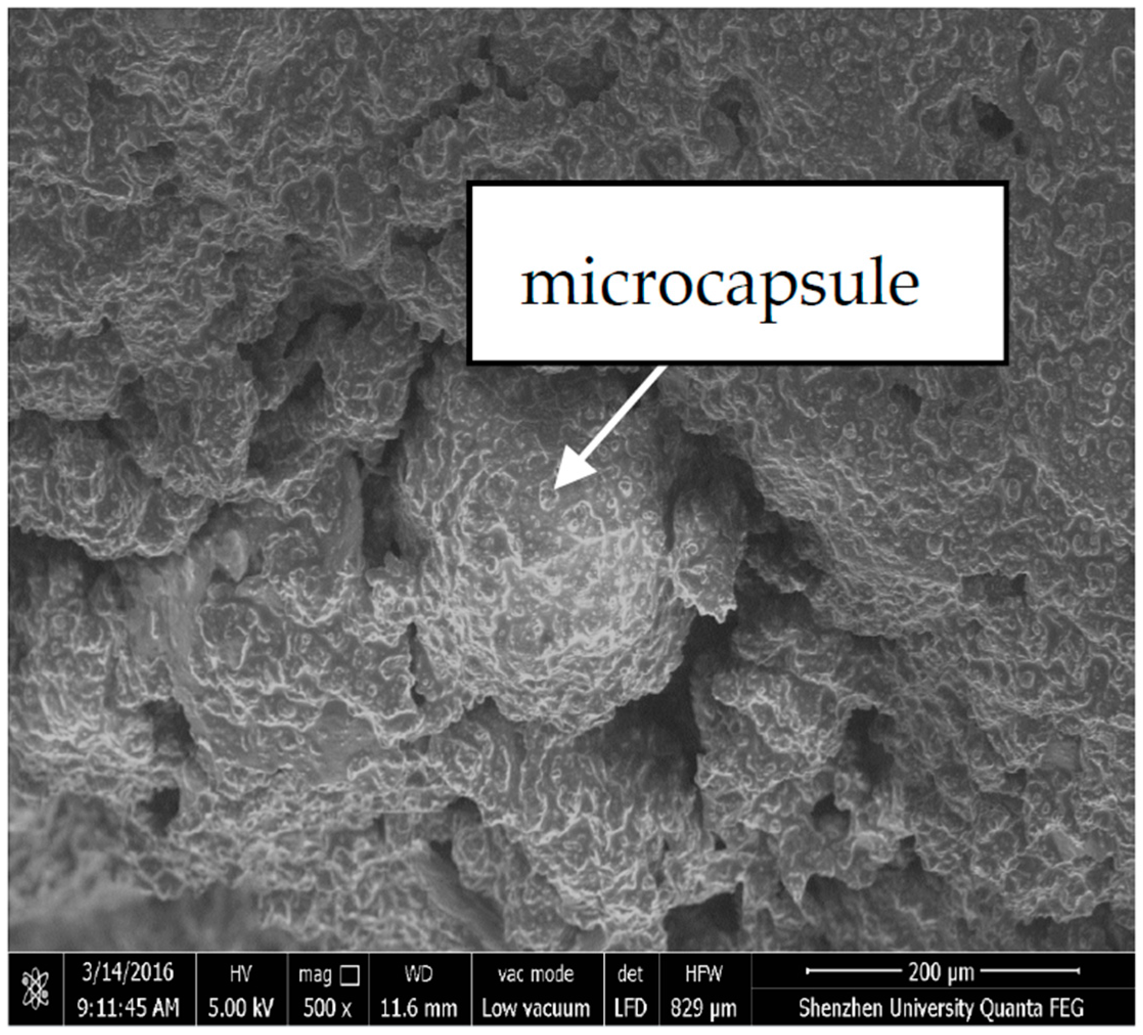 Materials 10 00020 g003