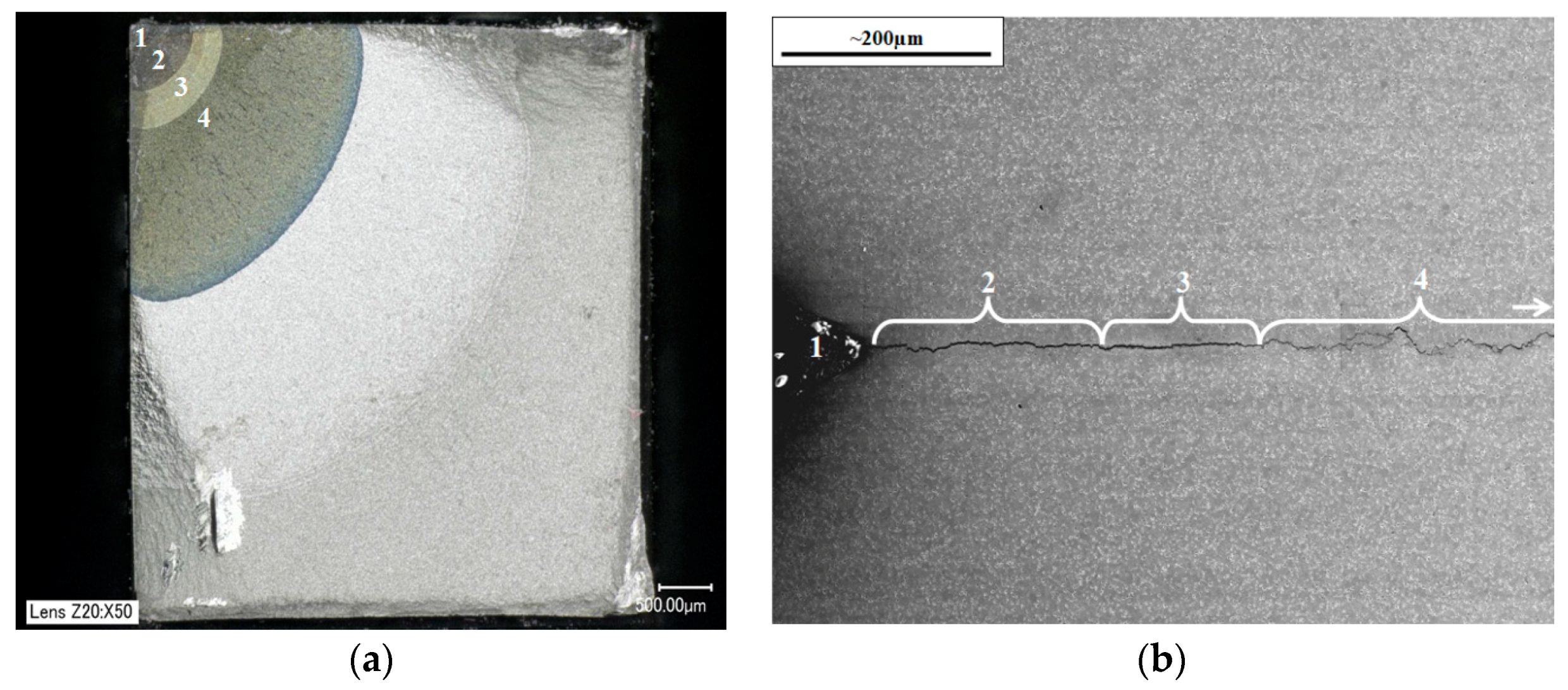 Materials 10 00034 g012