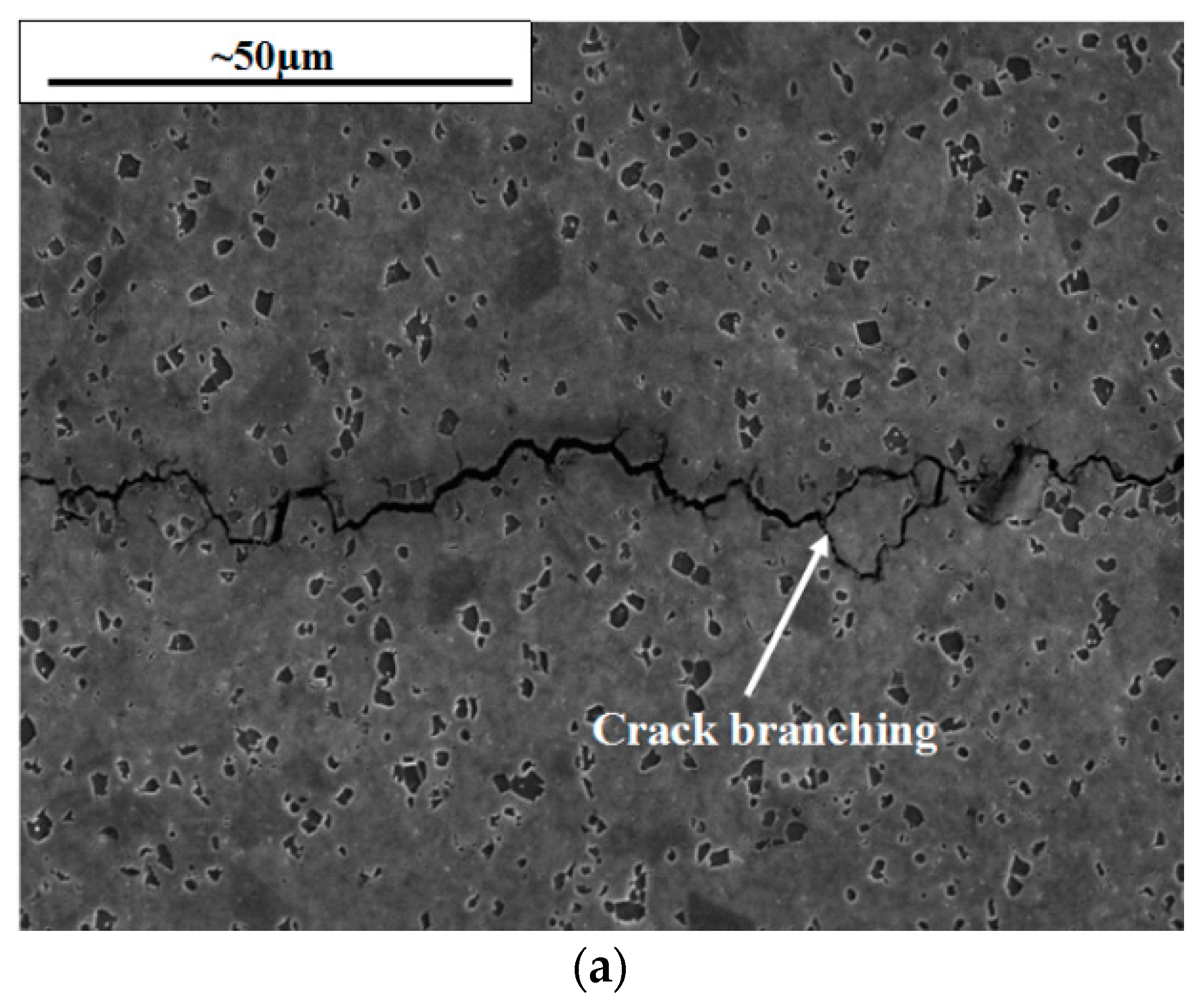 Materials 10 00034 g013a