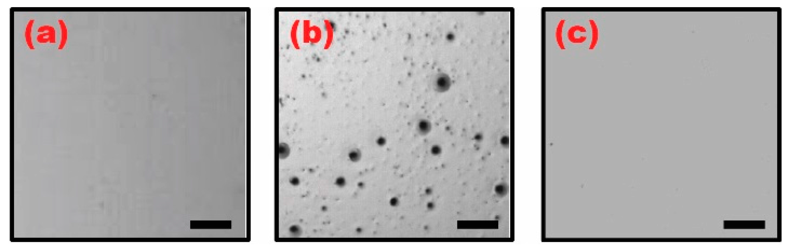 Materials 10 00041 g004