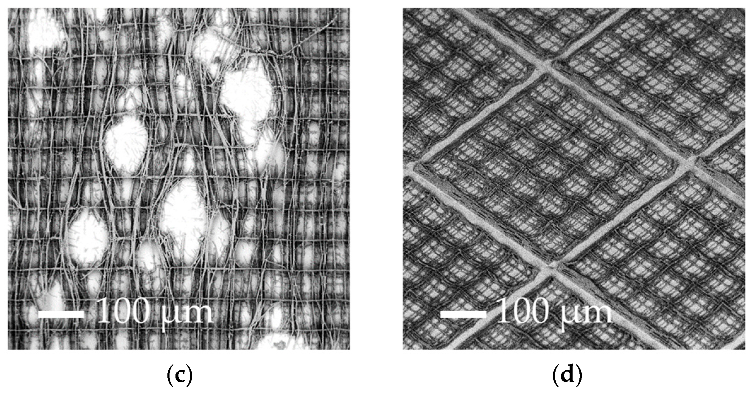 Materials 10 00066 g002b