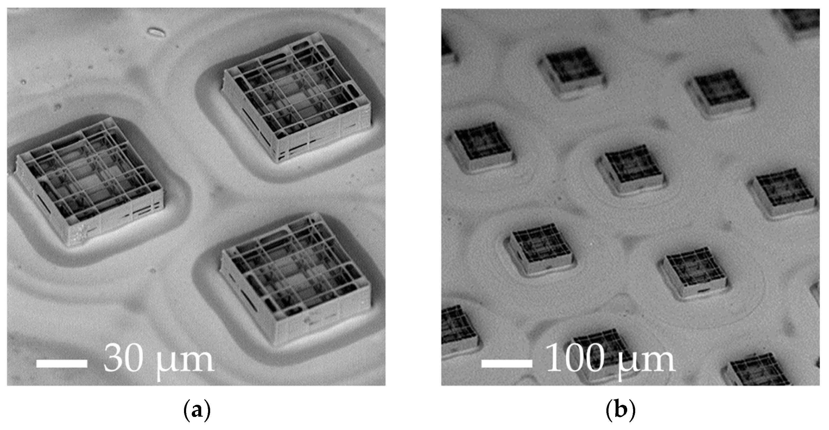 Materials 10 00066 g003a