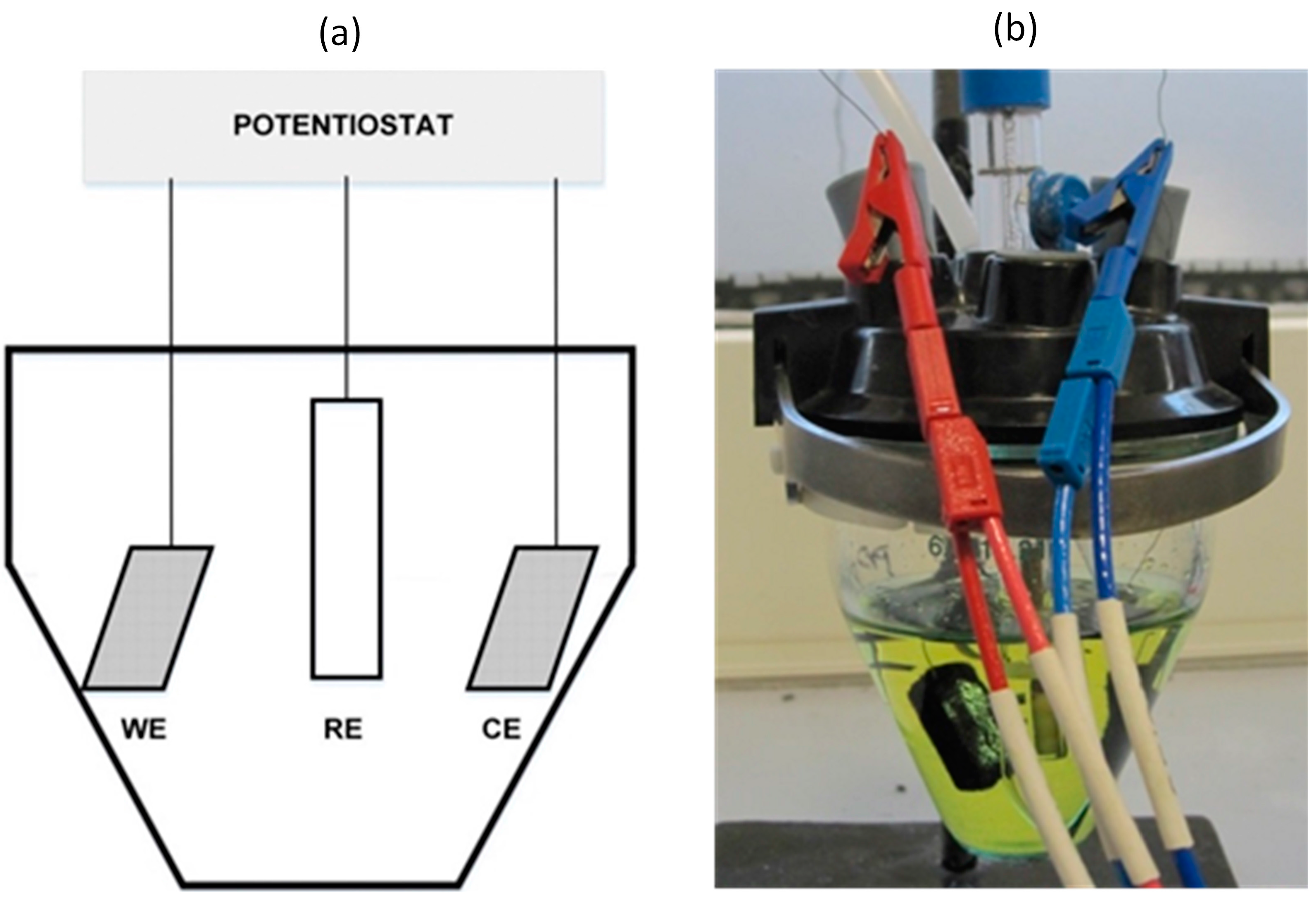 Materials 10 00079 g003