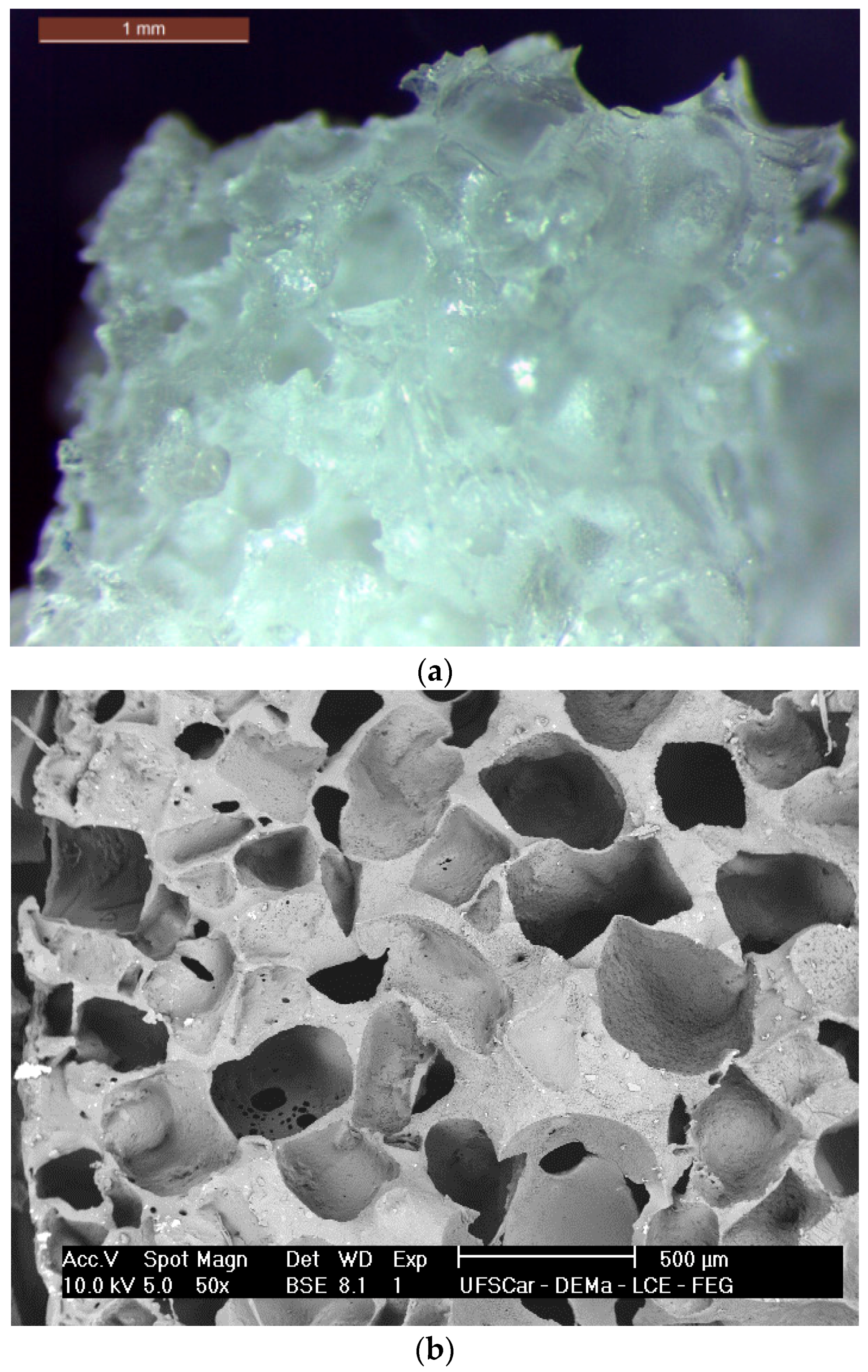 Materials 10 00083 g001
