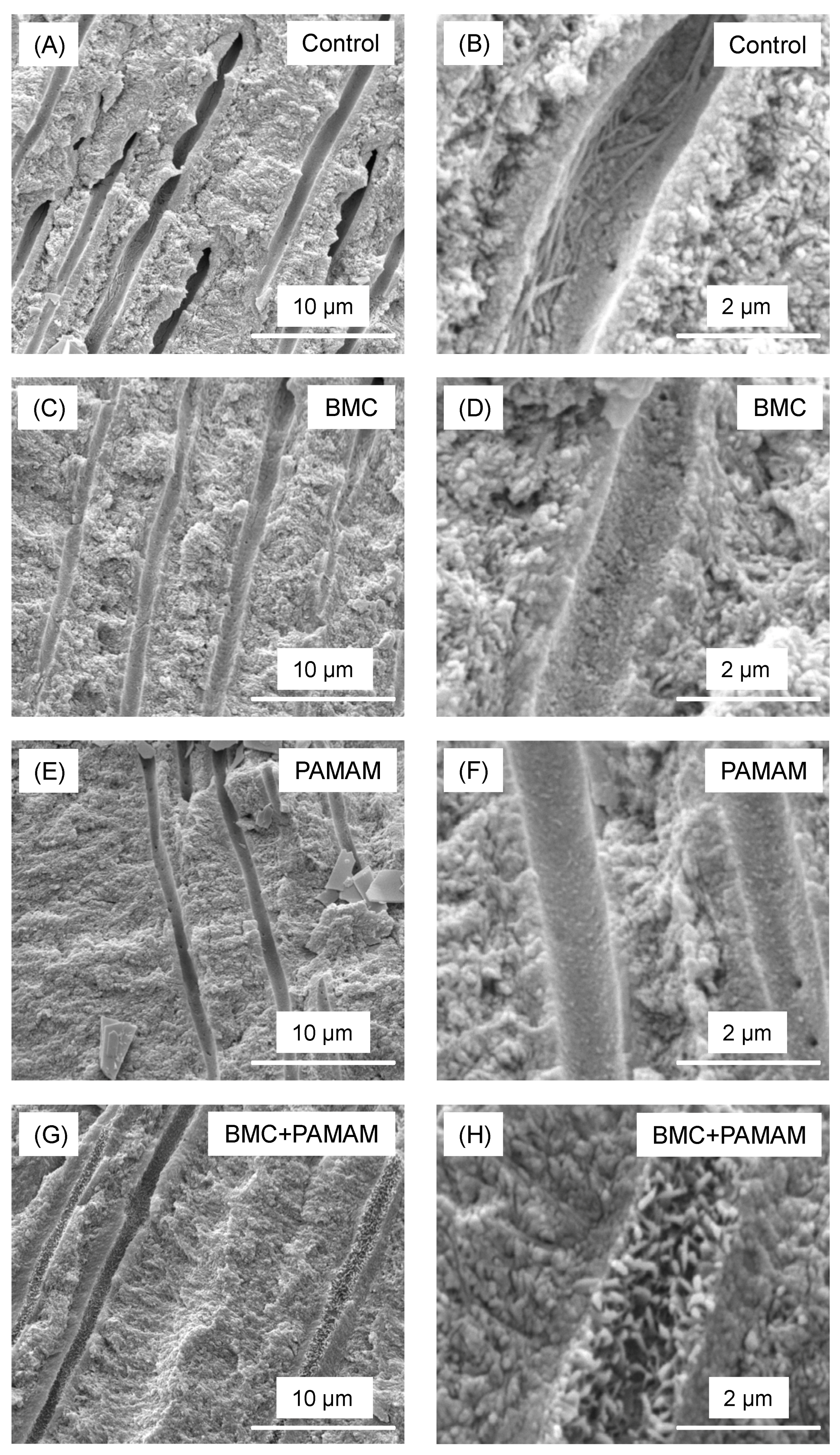 Materials 10 00089 g006 550