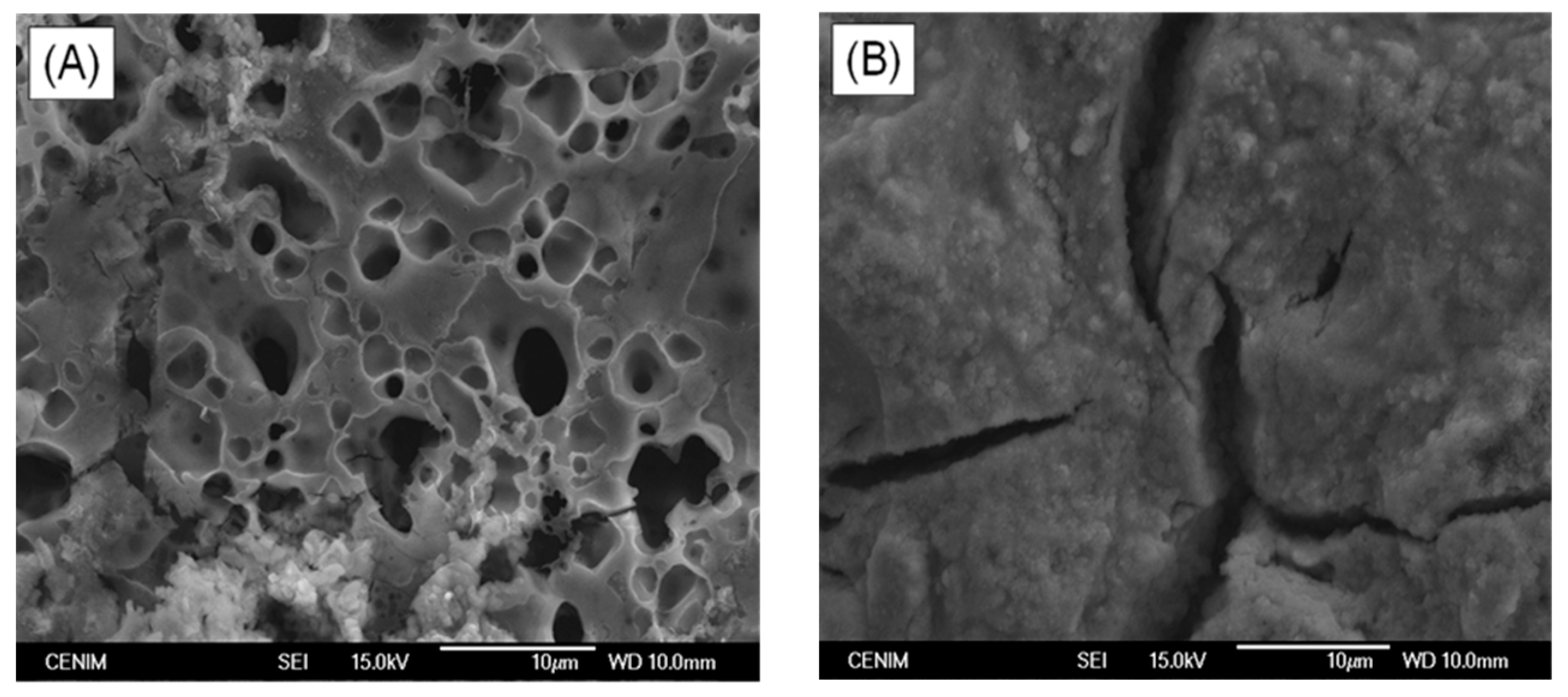 Materials 10 00094 g009