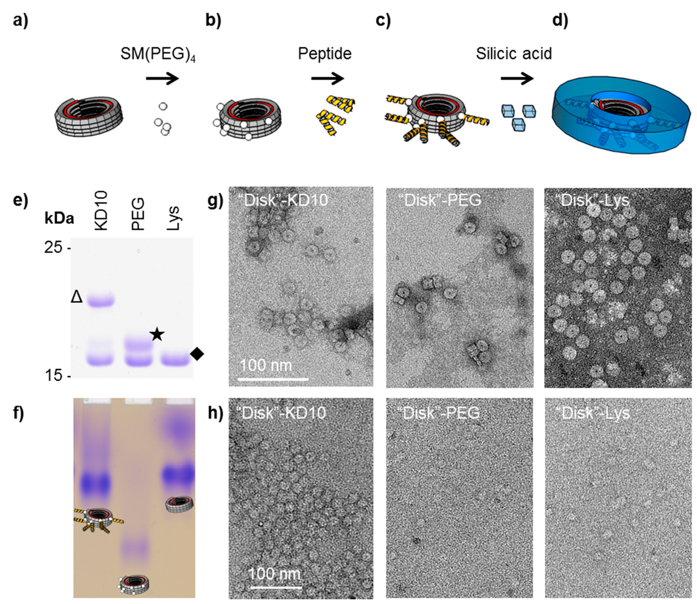 Materials 10 00119 g004