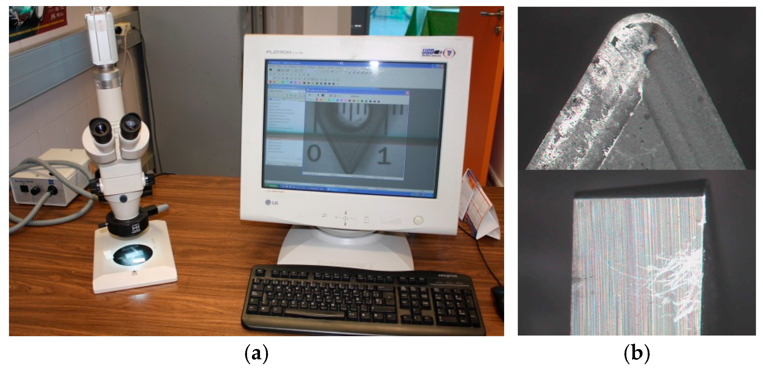 Materials 10 00152 g003 550