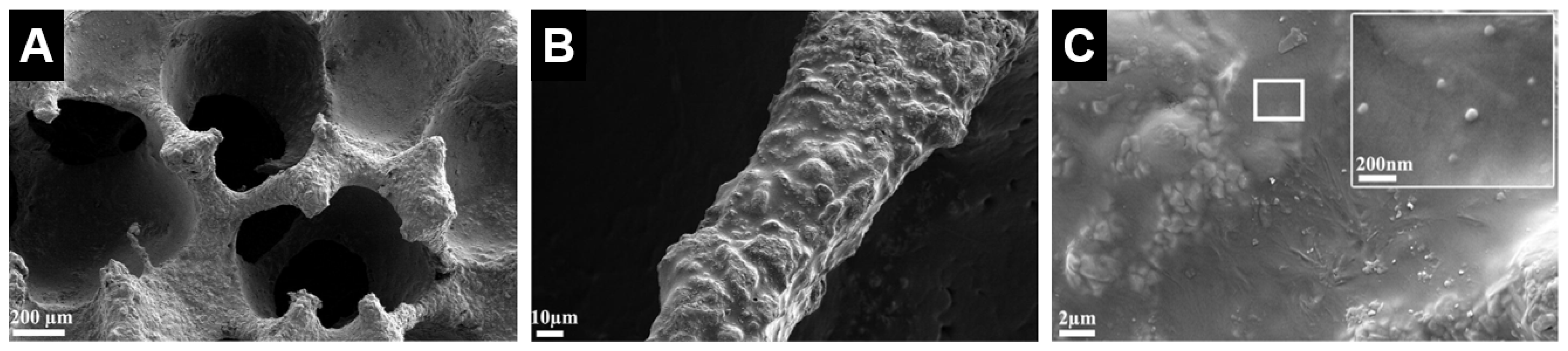 Materials 10 00153 g009