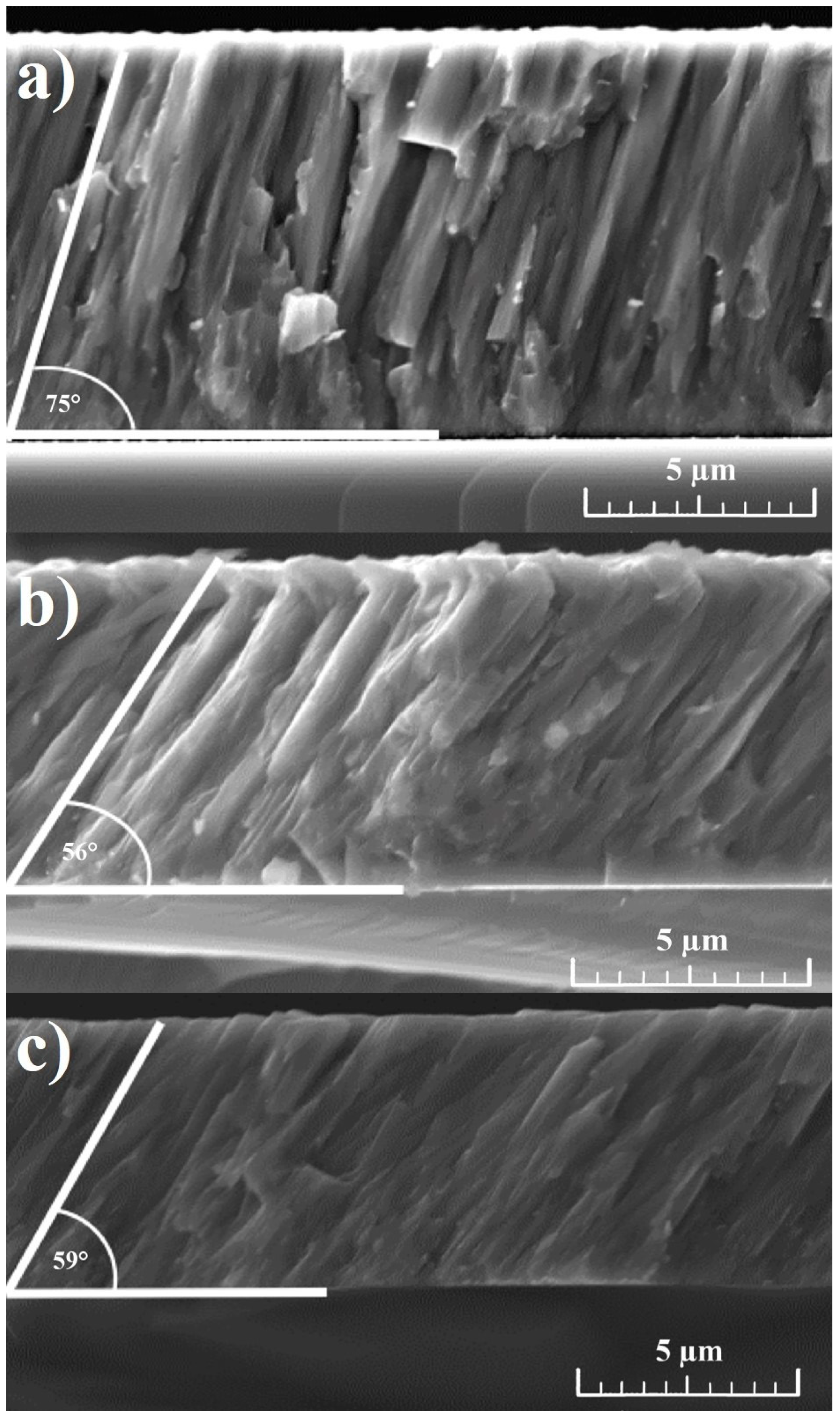Materials 10 00156 g001