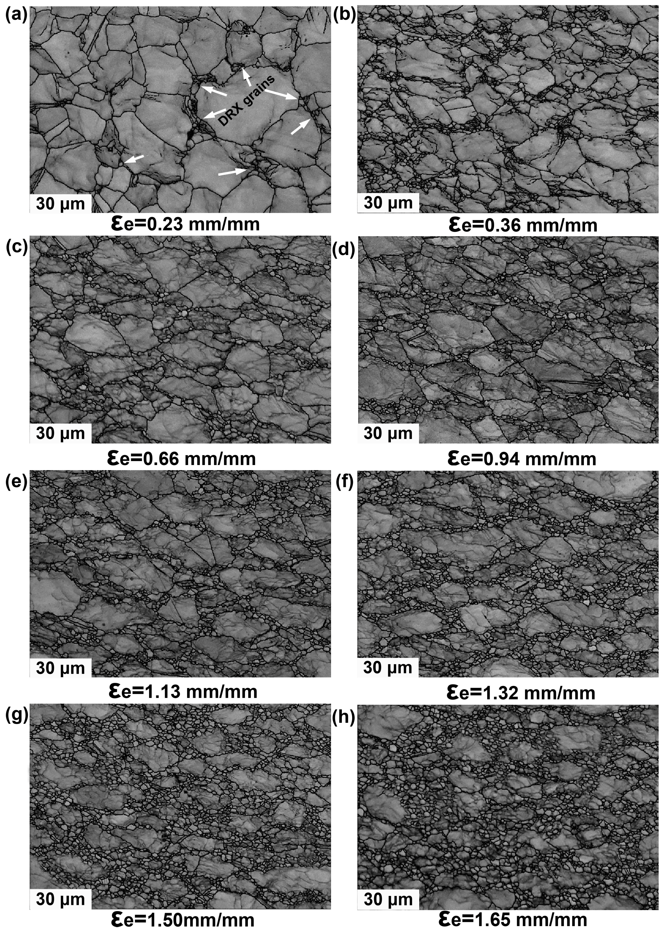 Materials 10 00161 g004