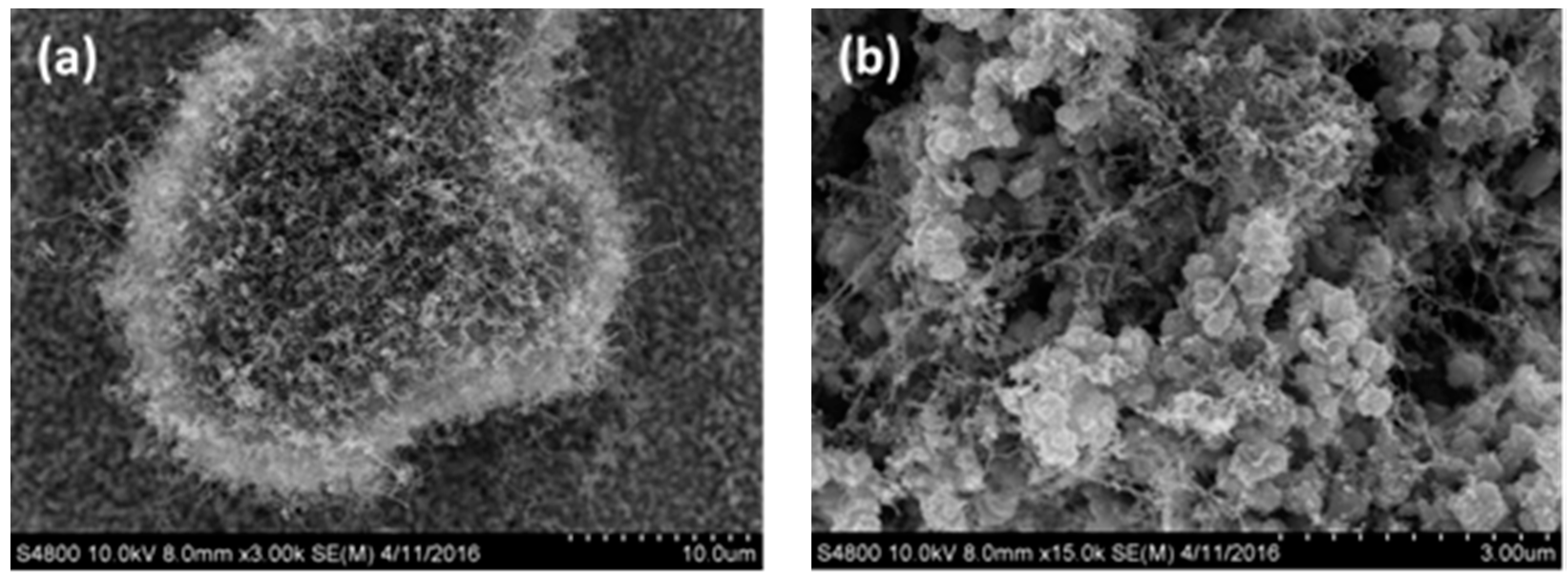 Materials 10 00169 g004