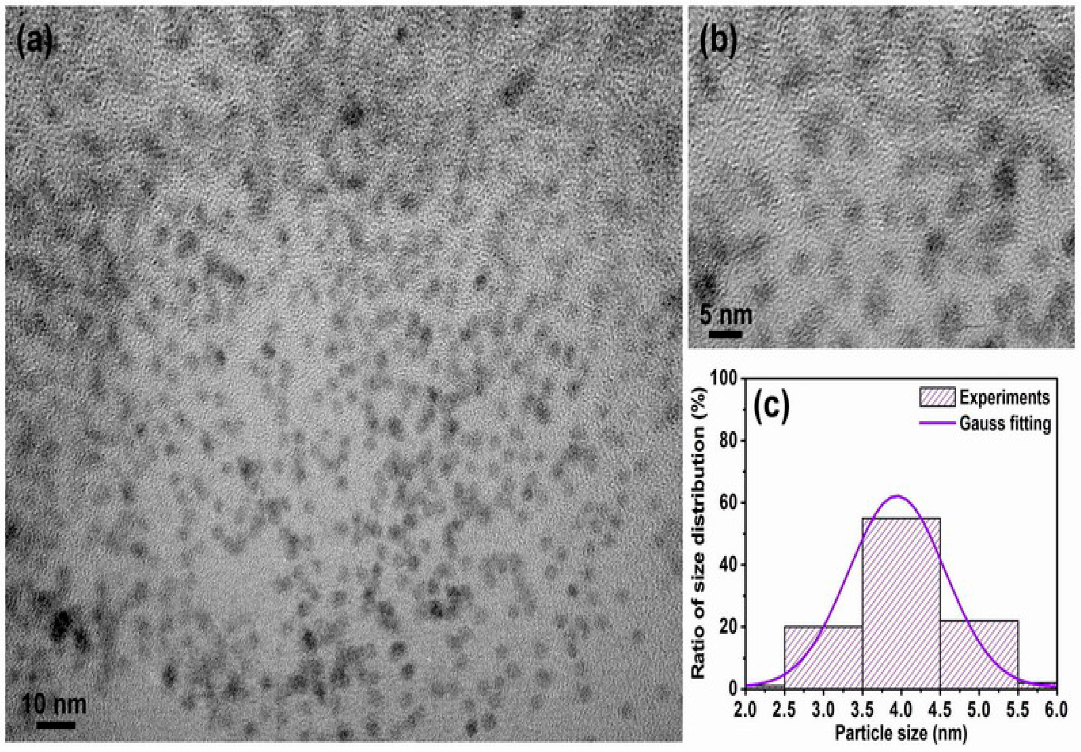 Materials 10 00181 g005