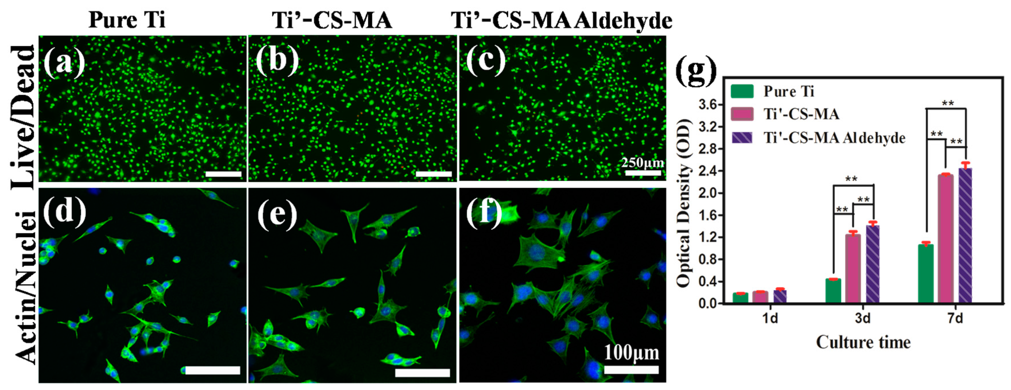 Materials 10 00191 g005 550