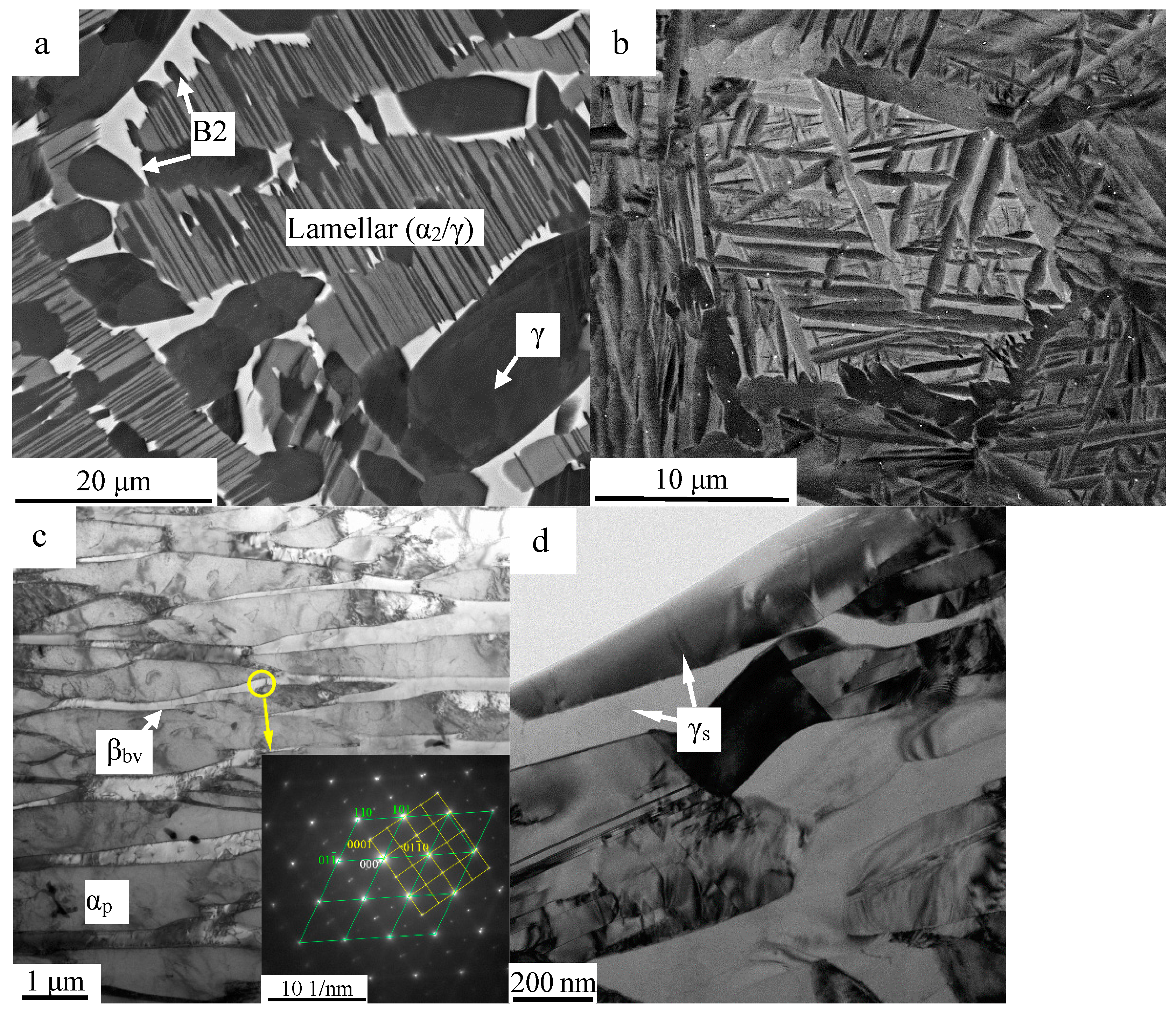 Materials 10 00201 g001 550