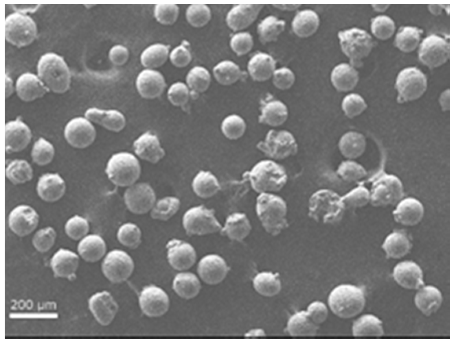 Materials 10 00211 g002 550