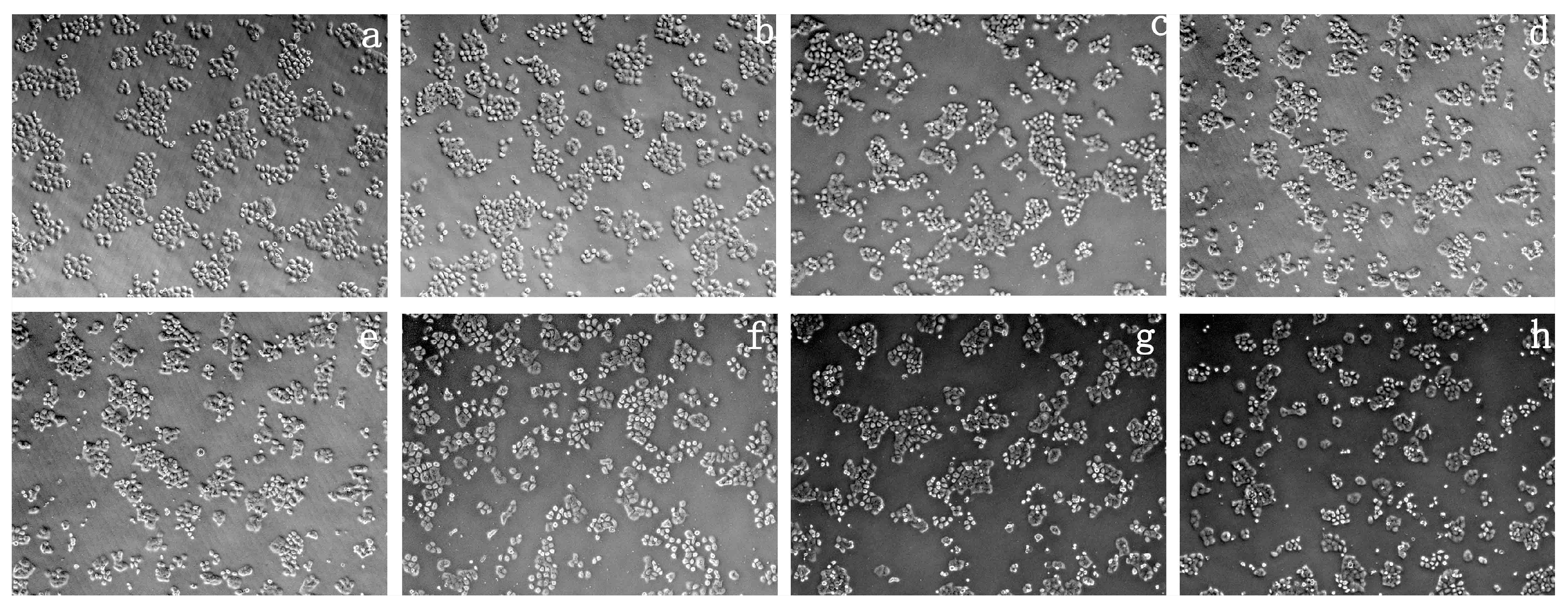 Materials 10 00219 g005