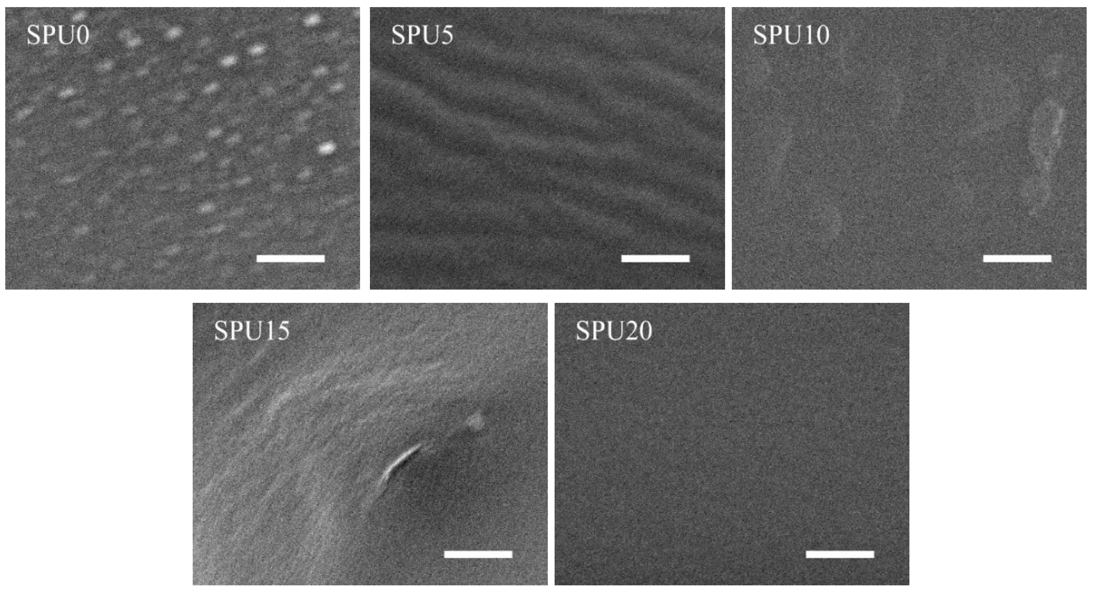 Materials 10 00247 g010