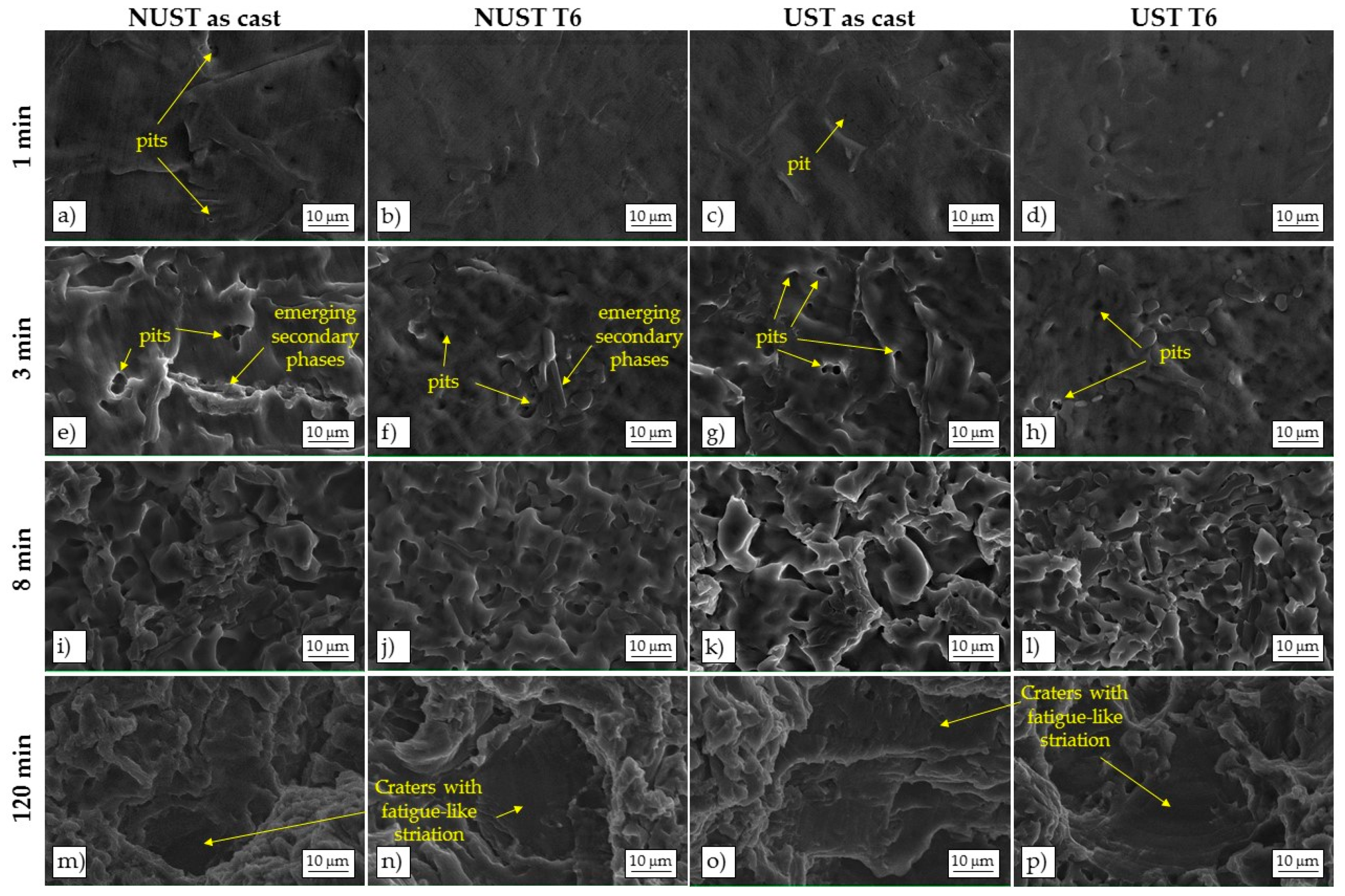 Materials 10 00256 g008