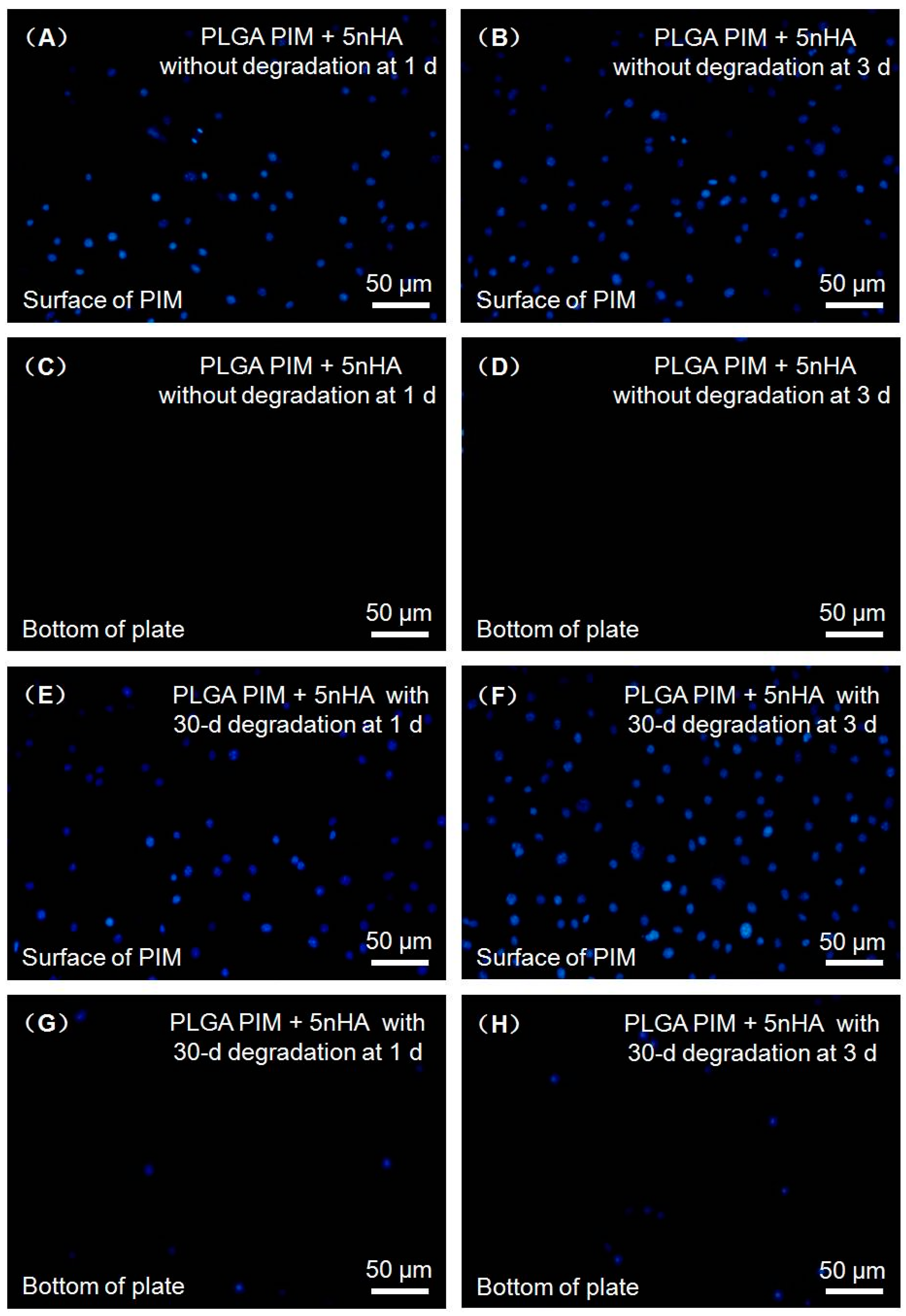 Materials 10 00257 g002