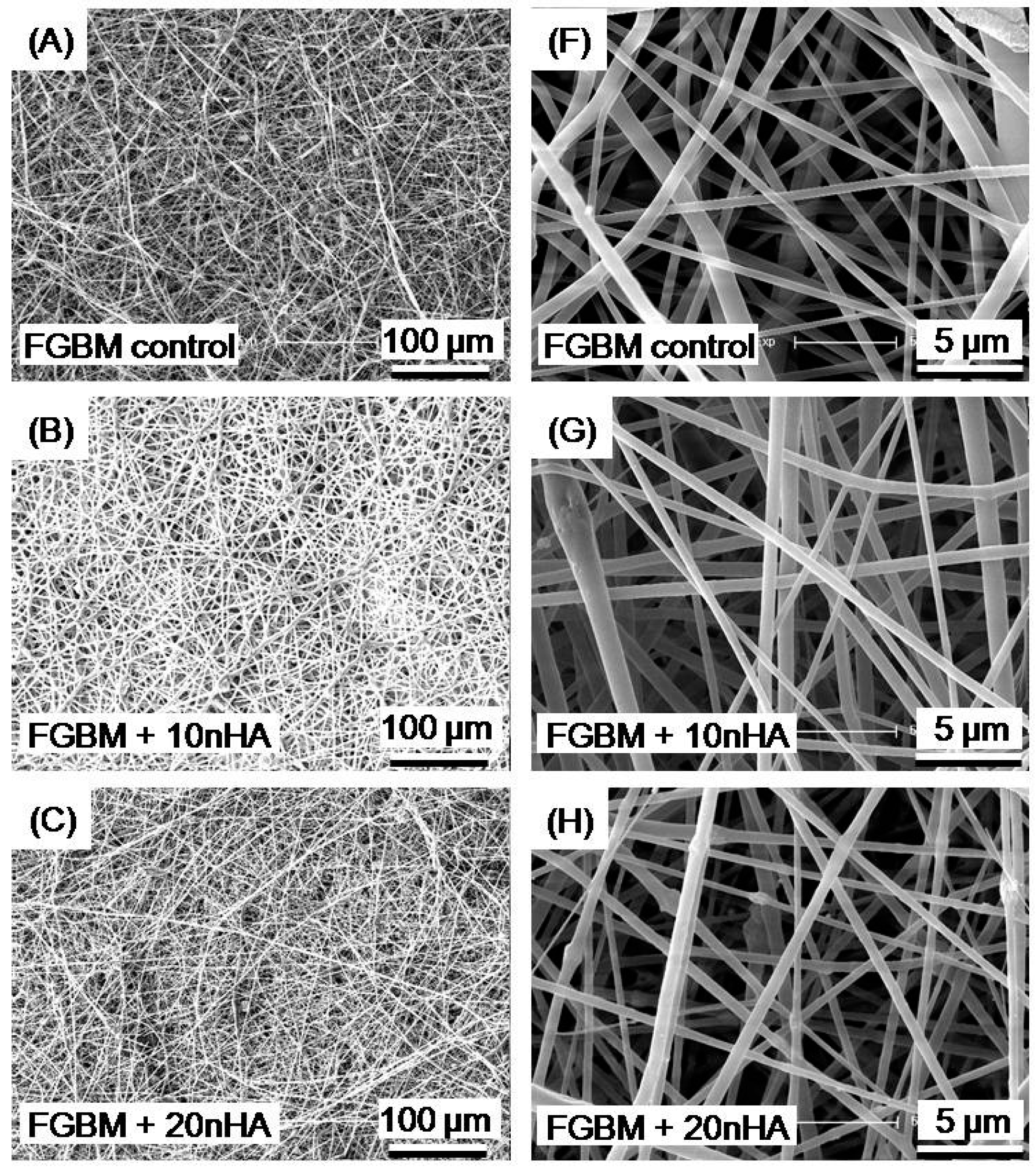 Materials 10 00257 g003a